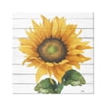 thumbnail image 1 of Stupell Industries Yellow Sunflower Blossom Bold Petals Rustic Design Canvas Wall Art, 30 x 30, Design by Elizabeth Medley, 1 of 7