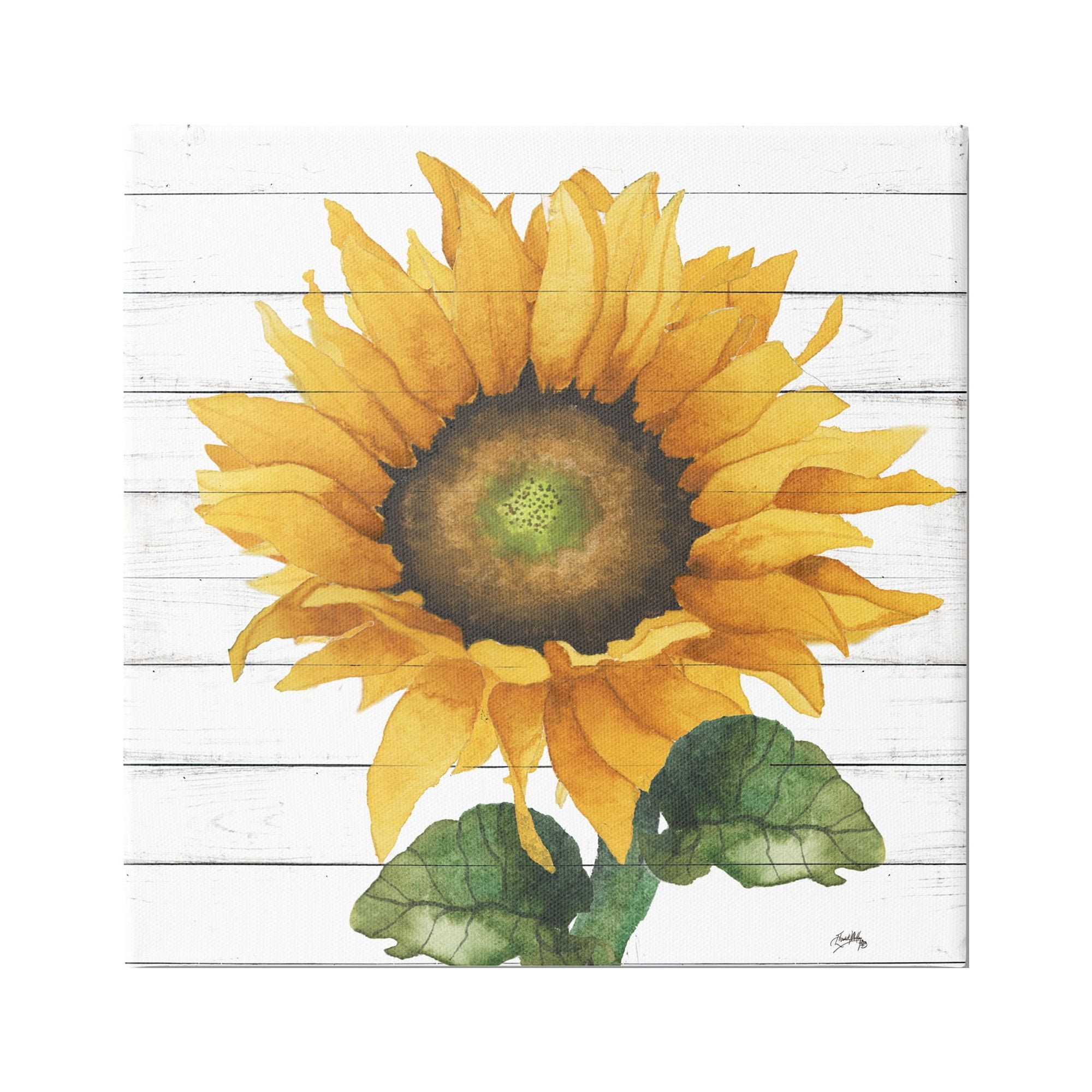 Stupell Industries Yellow Sunflower Blossom Bold Petals Rustic Design Canvas Wall Art, 36 x 36, Design by Elizabeth Medley
