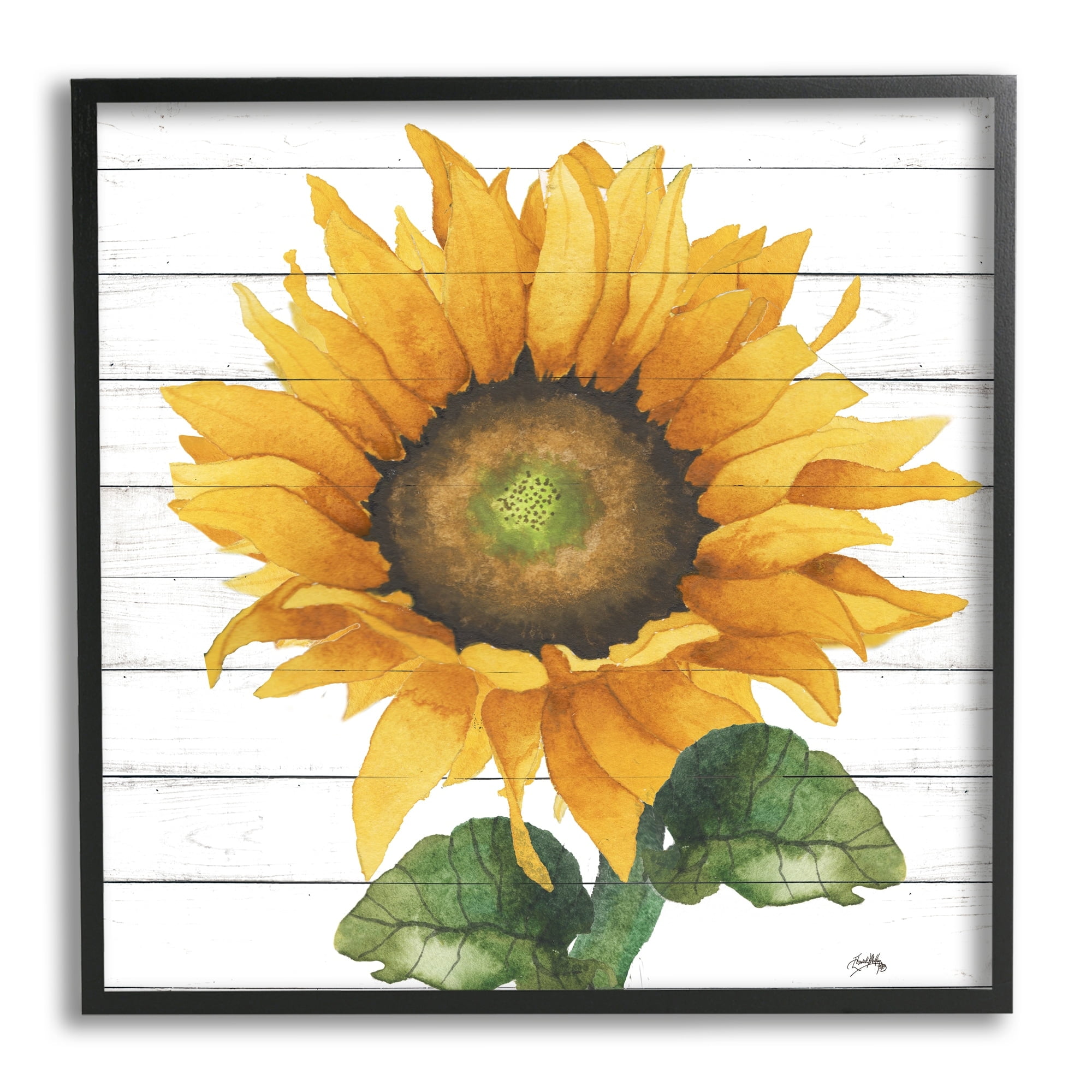 Stupell Industries Yellow Sunflower Blossom Bold Petals Rustic Design Framed Wall Art, 24 x 24, Design by Elizabeth Medley
