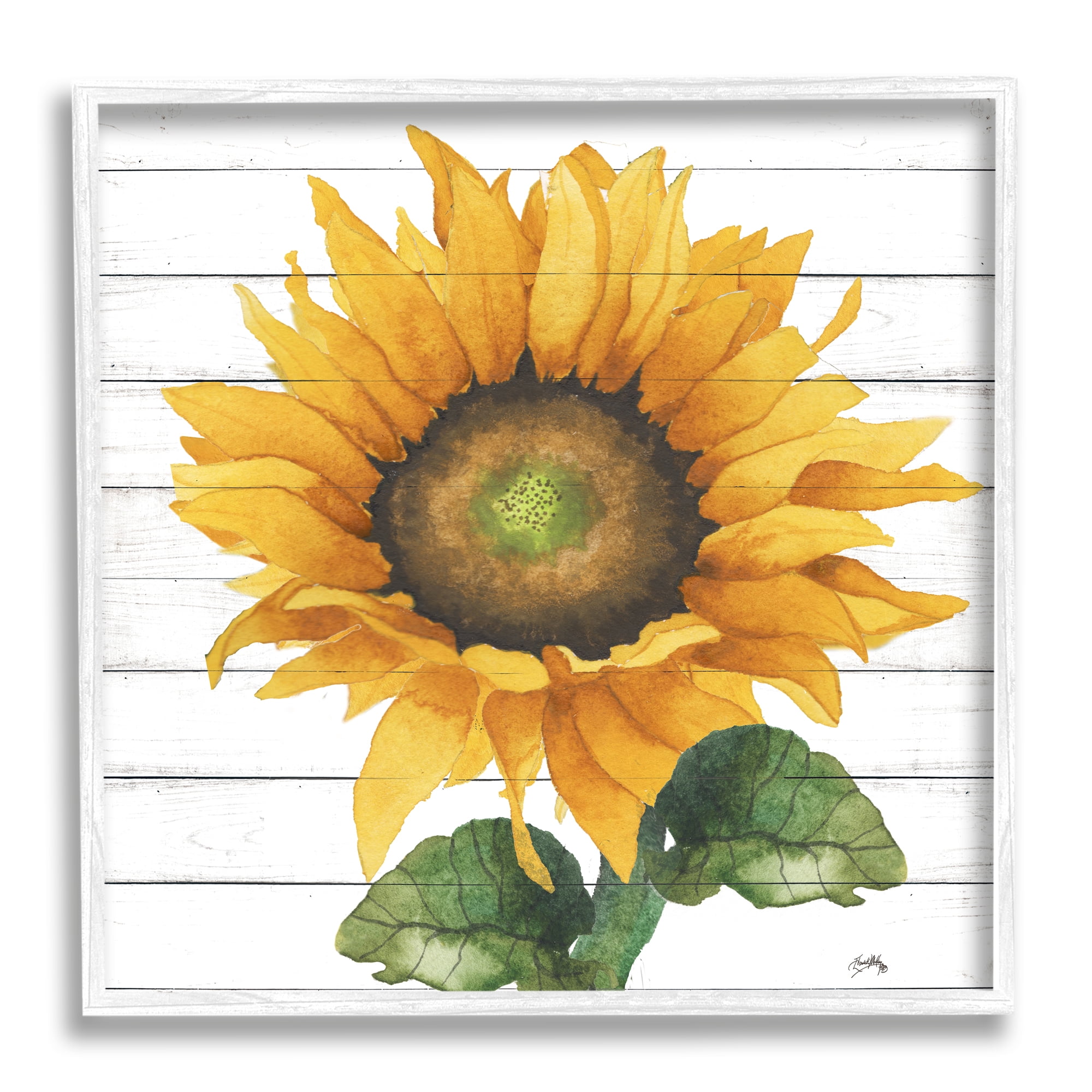 Stupell Industries Yellow Sunflower Blossom Bold Petals Rustic Design Framed Wall Art, 24 x 24, Design by Elizabeth Medley