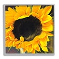 thumbnail image 1 of Stupell Industries Yellow Sunflower Summer Garden Botanical & Floral Photography Gray Framed Art Print Wall Art, 1 of 7