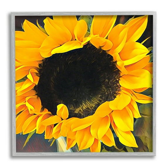 Stupell Industries Yellow Sunflower Summer Garden Botanical & Floral Photography Gray Framed Art Print Wall Art