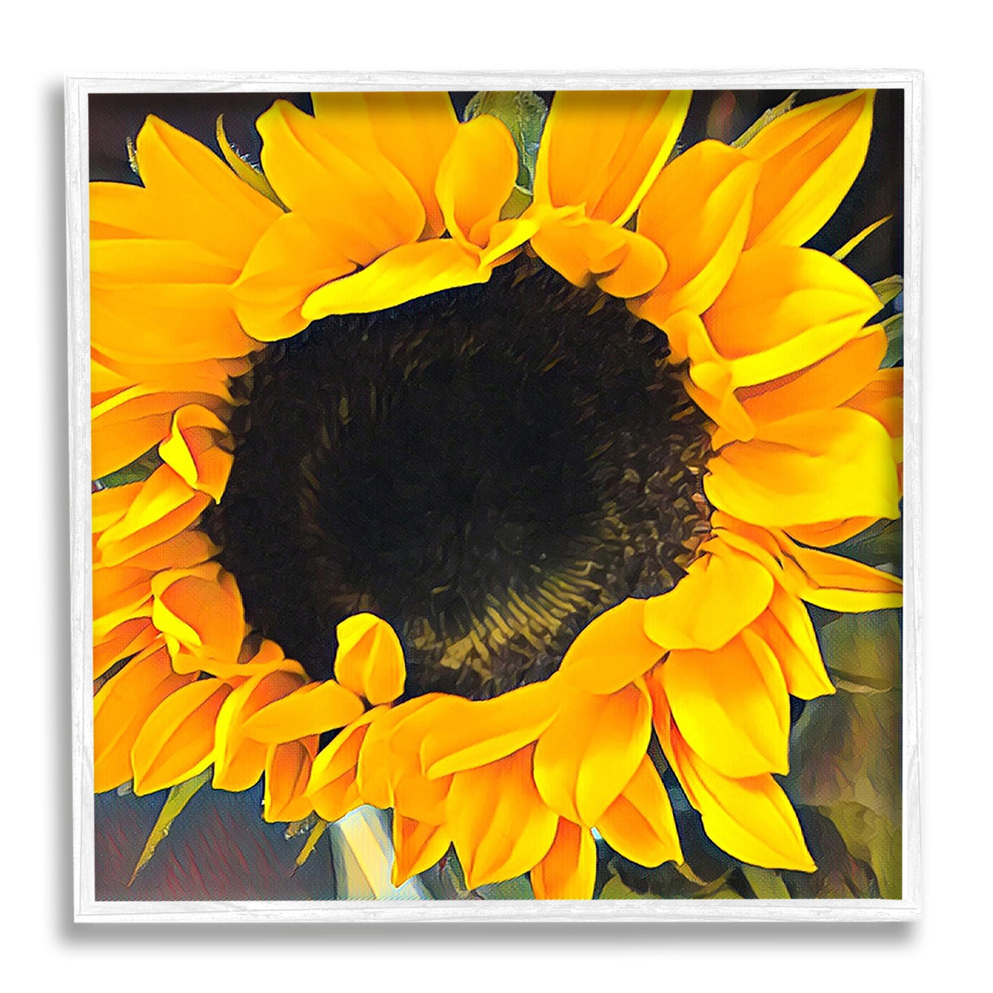 Stupell Industries Yellow Sunflower Summer Garden Botanical & Floral Photography White Framed Art Print Wall Art