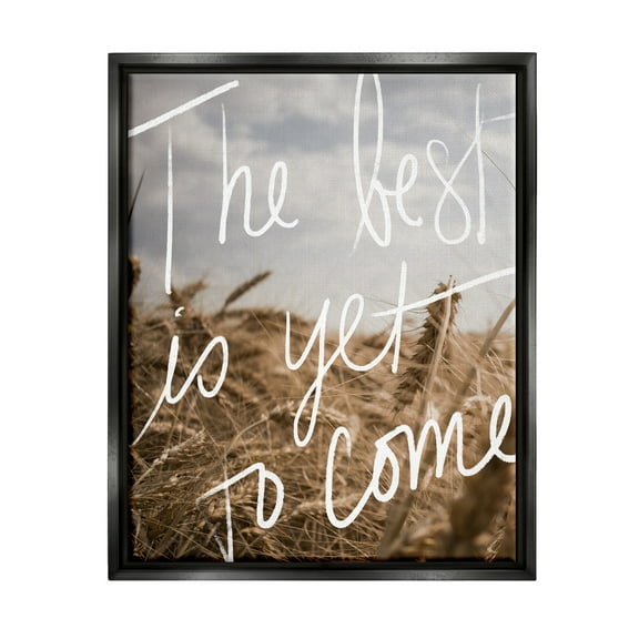 Stupell Industries Yet To Come Rural Landscape Inspirational Painting Black Floater Framed Art Print Wall Art, 17 x 21