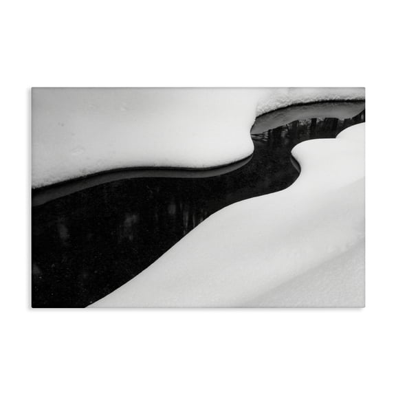 Stupell Industries Yin & Yang Stream Canvas Wall Art, design by James Rodewald