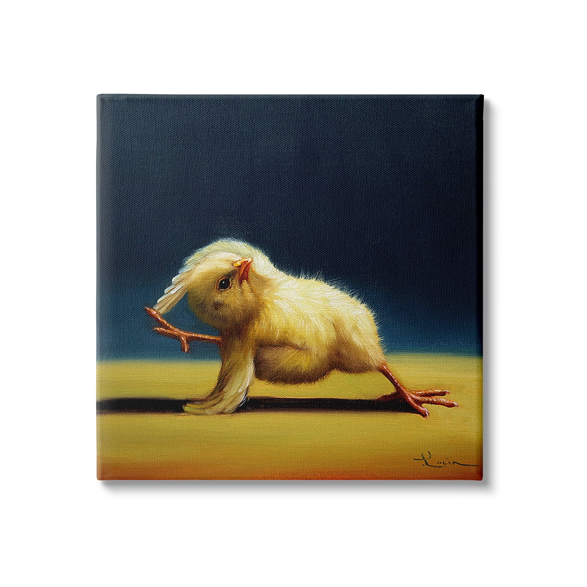 Stupell Industries Yoga Chicks Side Angle Pose Funny Animal Painting,36 x 36,Design by Lucia Heffernan