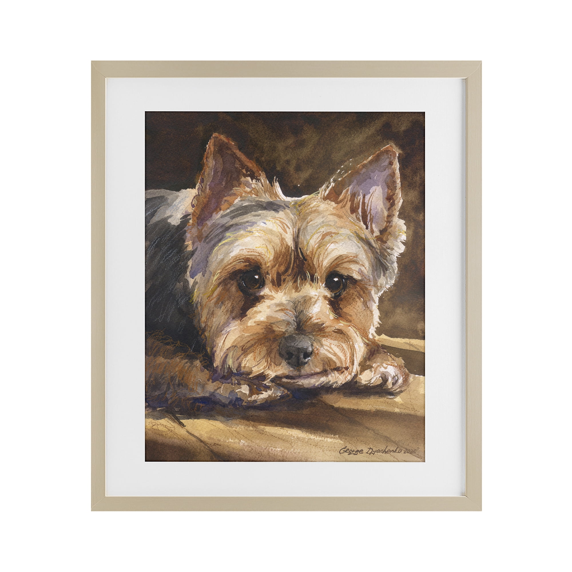 Stupell Industries Yorkshire Terrier Portrait Birch Framed Print Under Glass, design by George Dyachenko