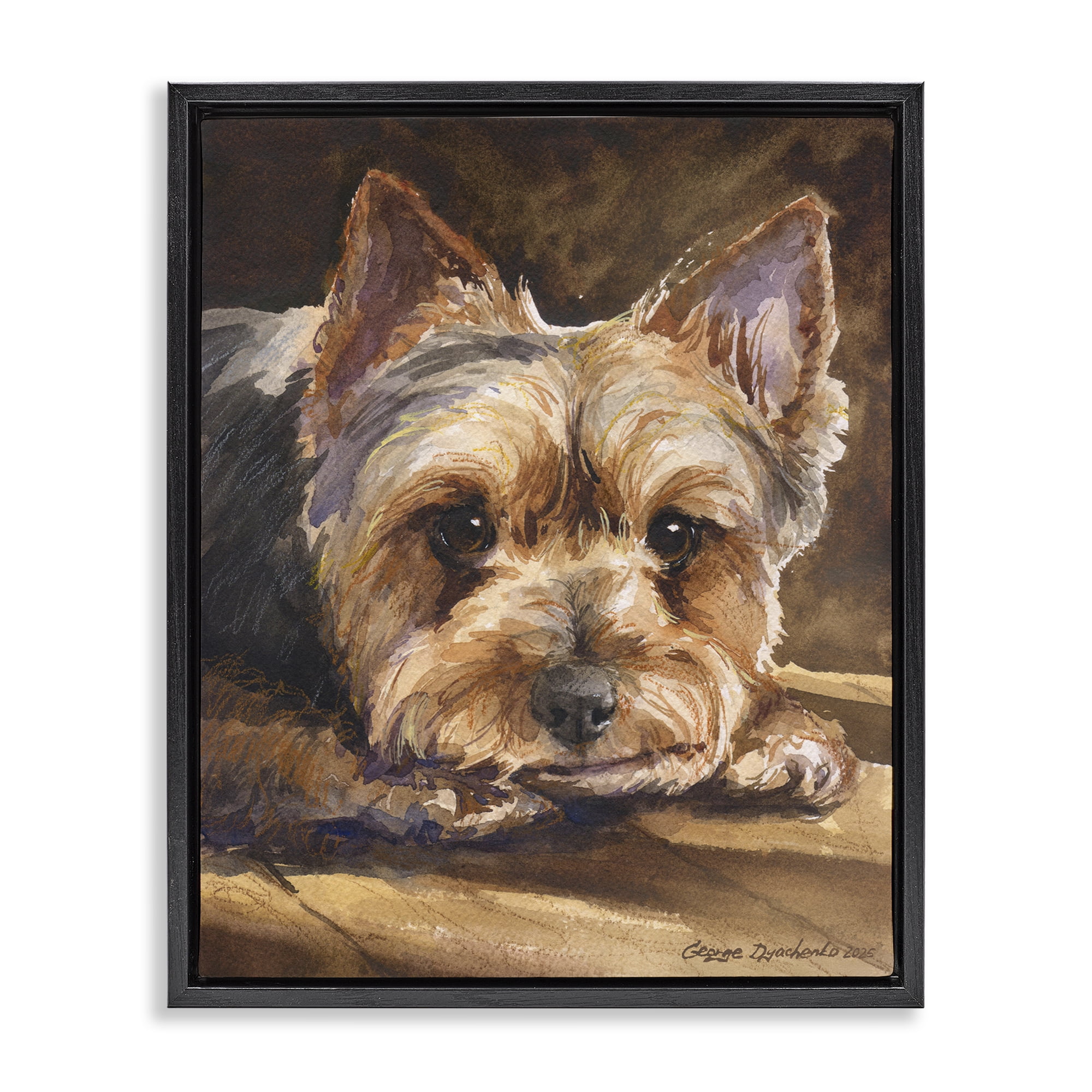 Stupell Industries Yorkshire Terrier Portrait Black Framed Floater Canvas Wall Art, design by George Dyachenko