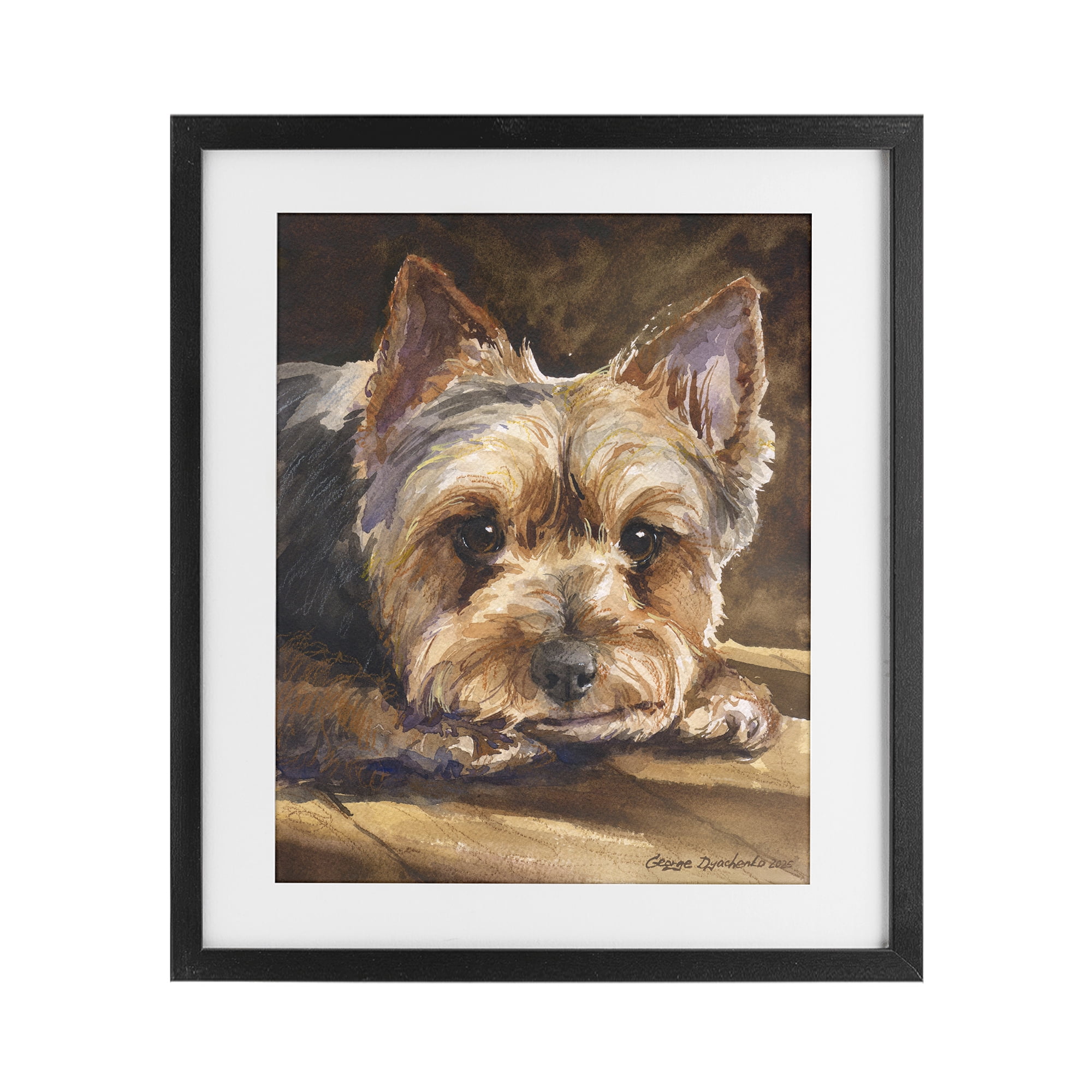Stupell Industries Yorkshire Terrier Portrait Black Framed Print Under Glass, design by George Dyachenko