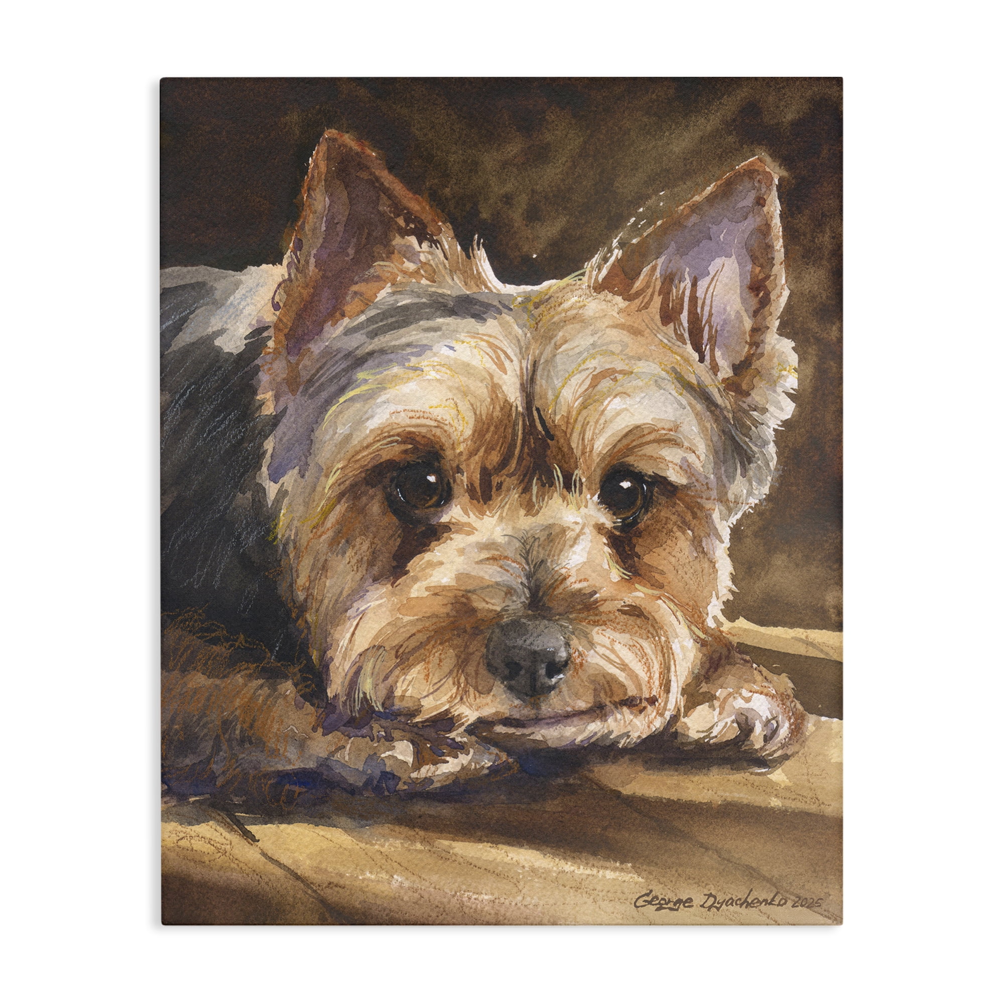 Stupell Industries Yorkshire Terrier Portrait Canvas Wall Art, design by George Dyachenko