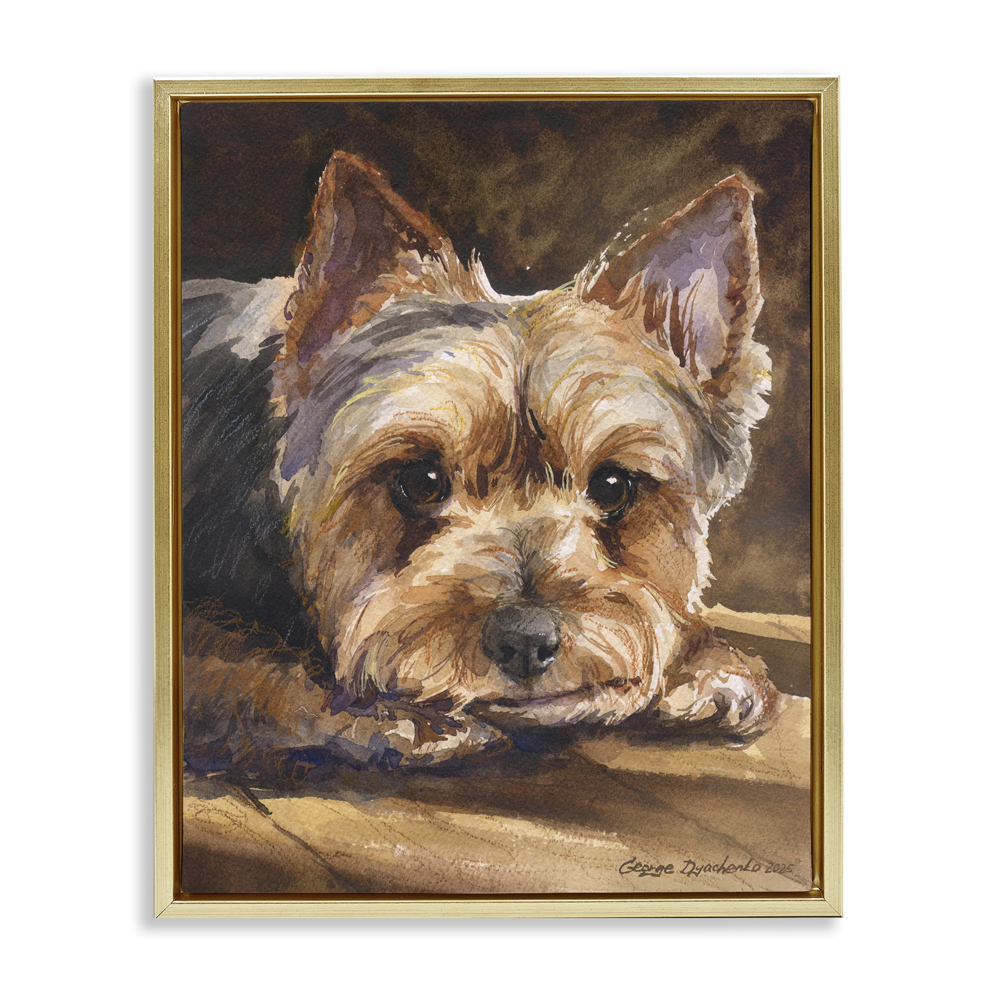 Stupell Industries Yorkshire Terrier Portrait Gold Framed Floater Canvas Wall Art, design by George Dyachenko
