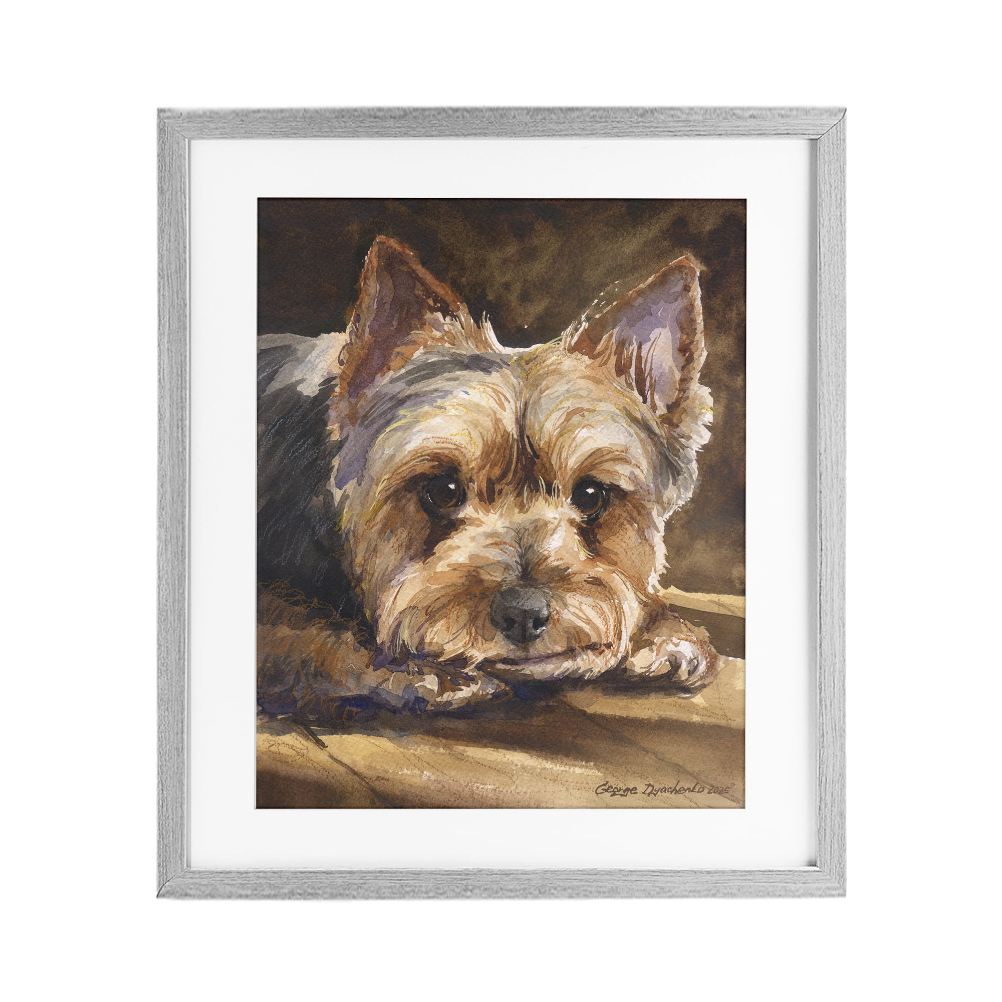 Stupell Industries Yorkshire Terrier Portrait Gray Framed Print Under Glass, design by George Dyachenko