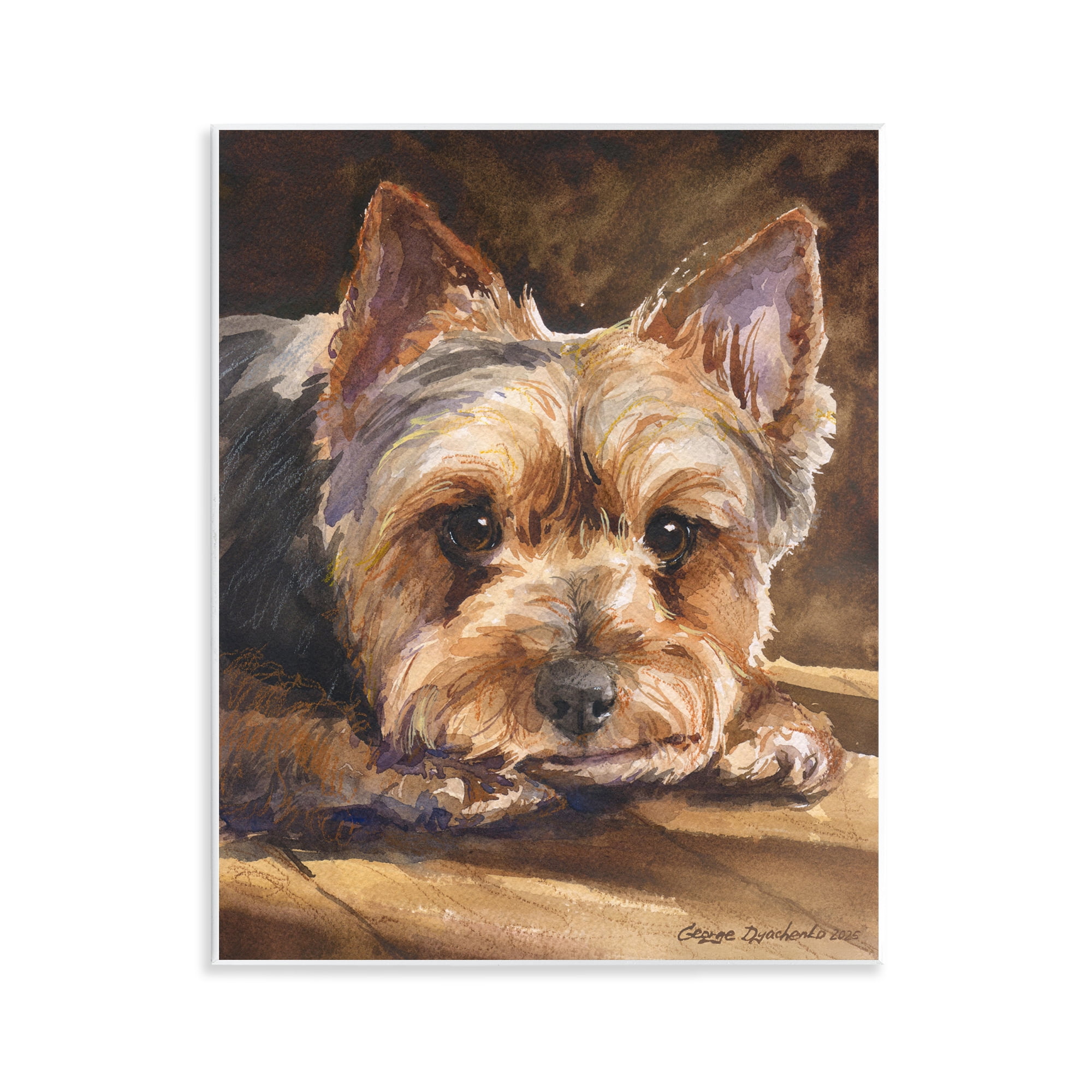 Stupell Industries Yorkshire Terrier Portrait Wall Plaque Art, design by George Dyachenko