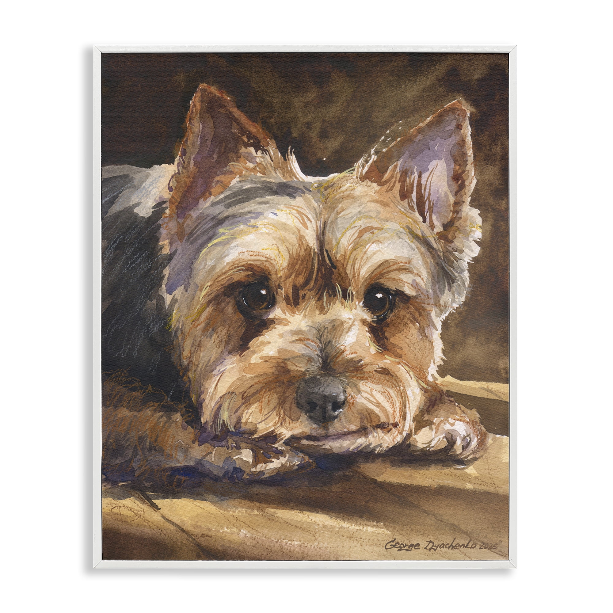 Stupell Industries Yorkshire Terrier Portrait White Framed Giclee Art, design by George Dyachenko