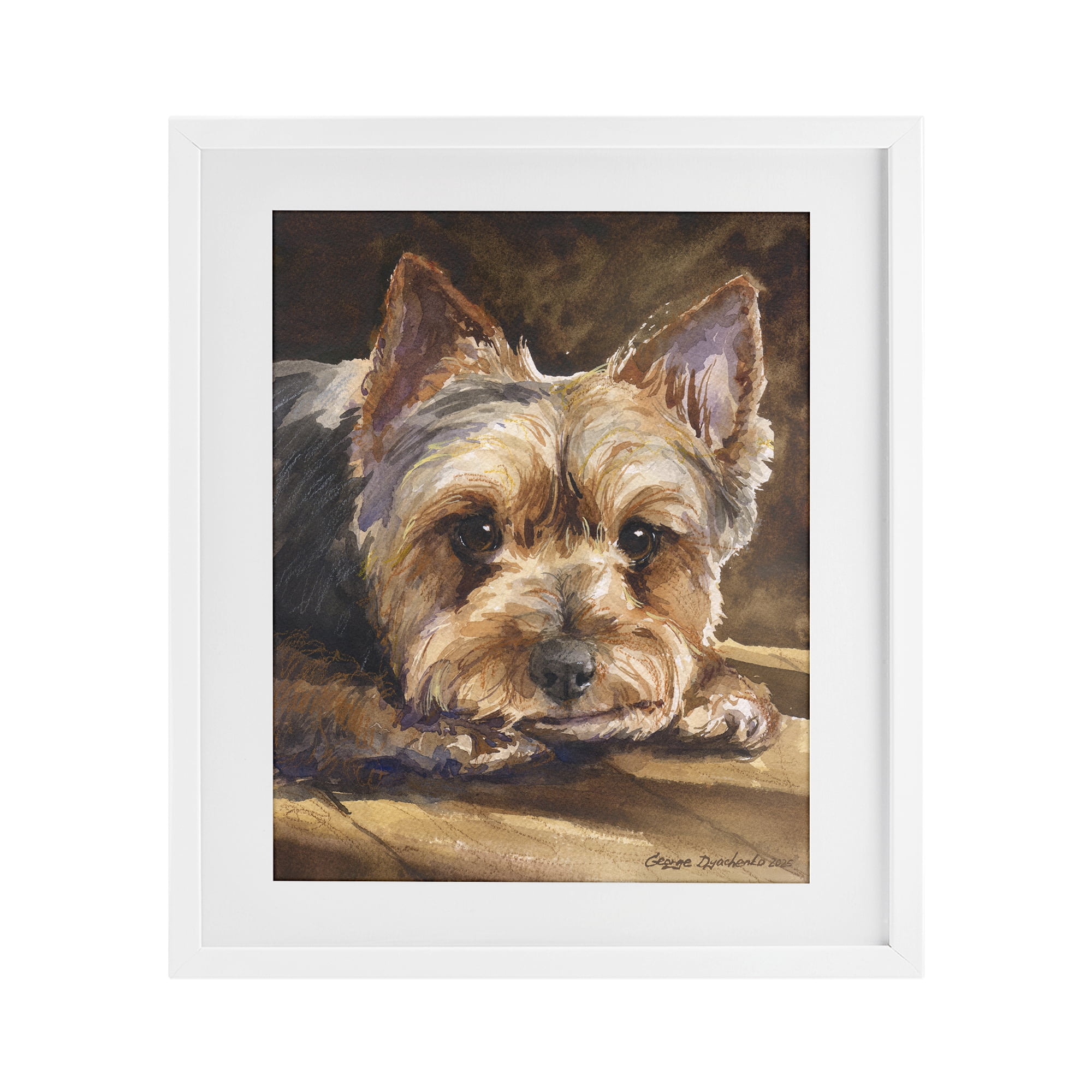 Stupell Industries Yorkshire Terrier Portrait White Framed Print Under Glass, design by George Dyachenko