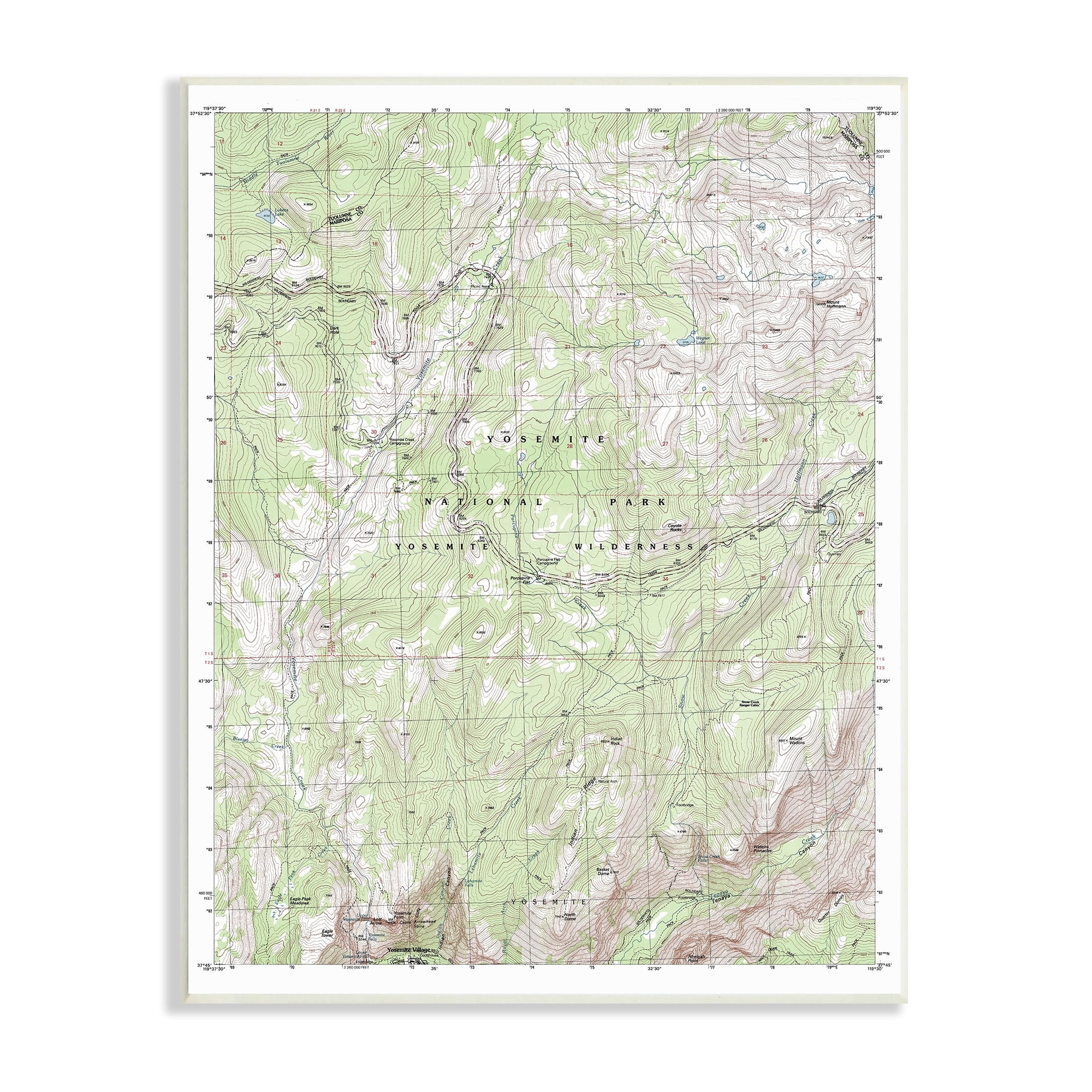 Stupell Industries Yosemite National Park and Wilderness Topographic Map Geography, 10 x 15, Design by Daphne Polselli