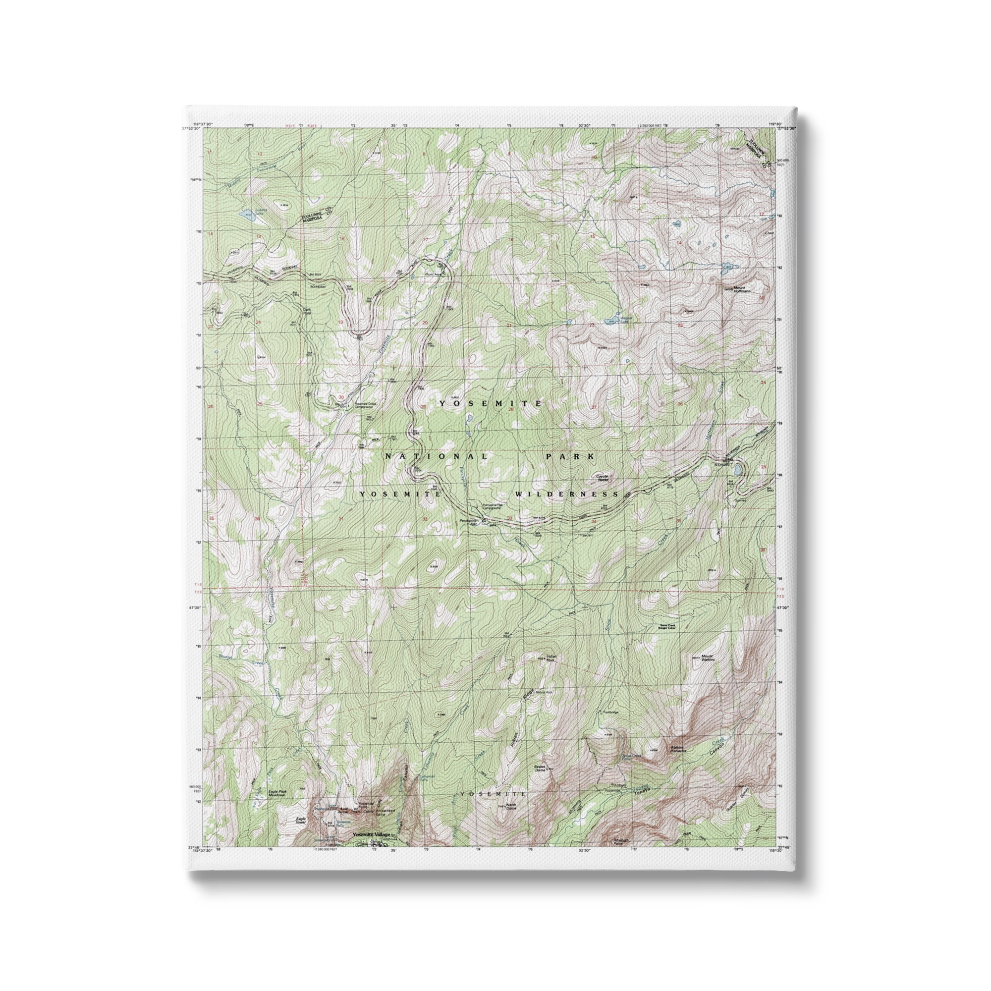 Stupell Industries Yosemite National Park and Wilderness Topographic Map Geography, 16 x 20, Design by Daphne Polselli