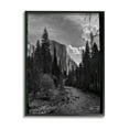thumbnail image 1 of Stupell Industries Yosemite Park Nature Scenery Photograph Black Framed Art Print Wall Art, Design by Andre Eichman, 1 of 7