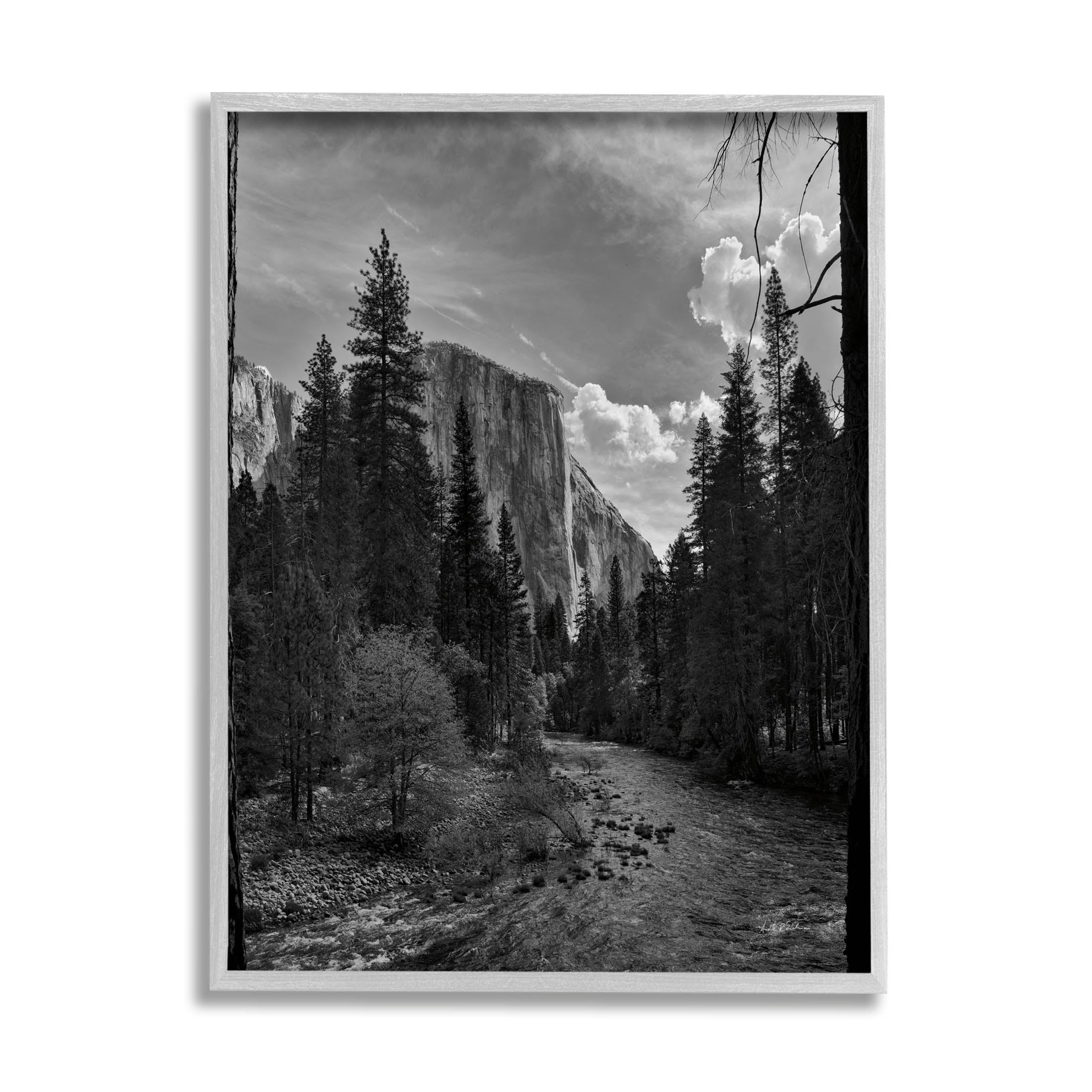 Stupell Industries Yosemite Park Nature Scenery Photograph Gray Framed Art Print Wall Art, Design by Andre Eichman