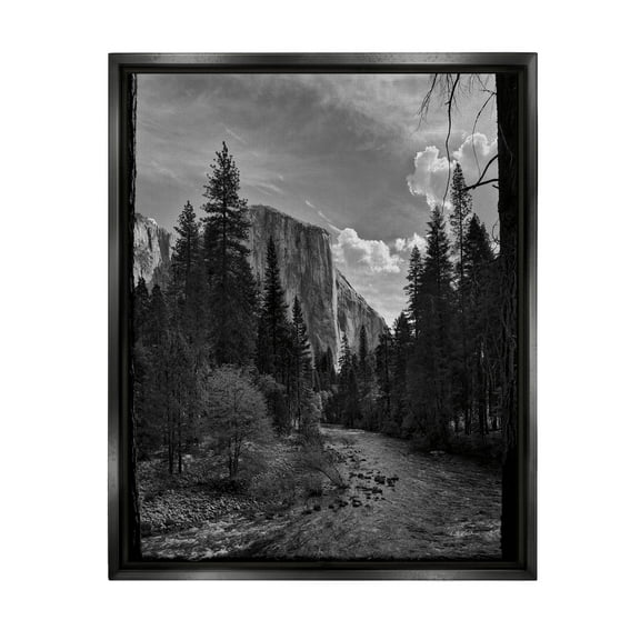 Stupell Industries Yosemite Park Nature Scenery Photograph Jet Black Floating Framed Canvas Print Wall Art, Design by Andre Eichman