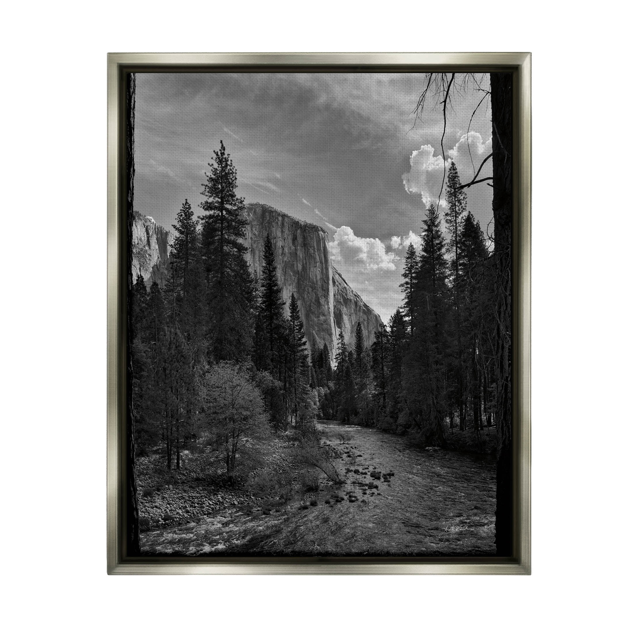 Stupell Industries Yosemite Park Nature Scenery Photograph Luster Gray Floating Framed Canvas Print Wall Art, Design by Andre Eichman