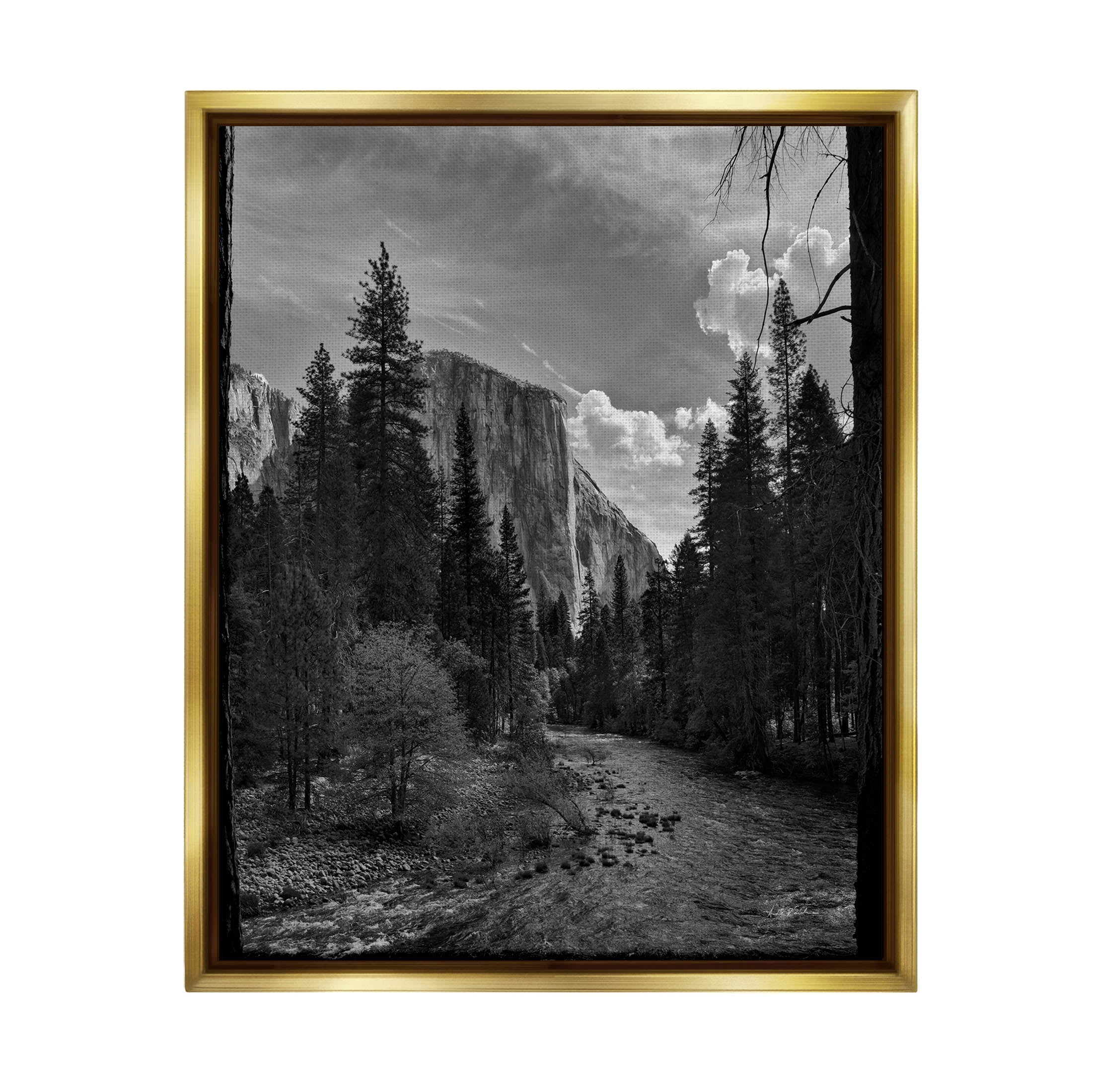 Stupell Industries Yosemite Park Nature Scenery Photograph Metallic Gold Floating Framed Canvas Print Wall Art, Design by Andre Eichman