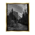 thumbnail image 1 of Stupell Industries Yosemite Park Nature Scenery Photograph Metallic Gold Floating Framed Canvas Print Wall Art, Design by Andre Eichman, 1 of 6