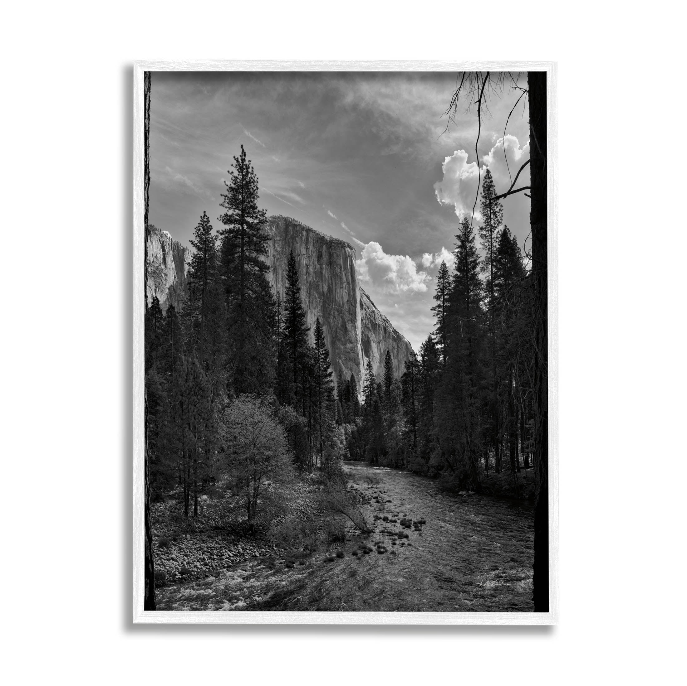 Stupell Industries Yosemite Park Nature Scenery Photograph White Framed Art Print Wall Art, Design by Andre Eichman