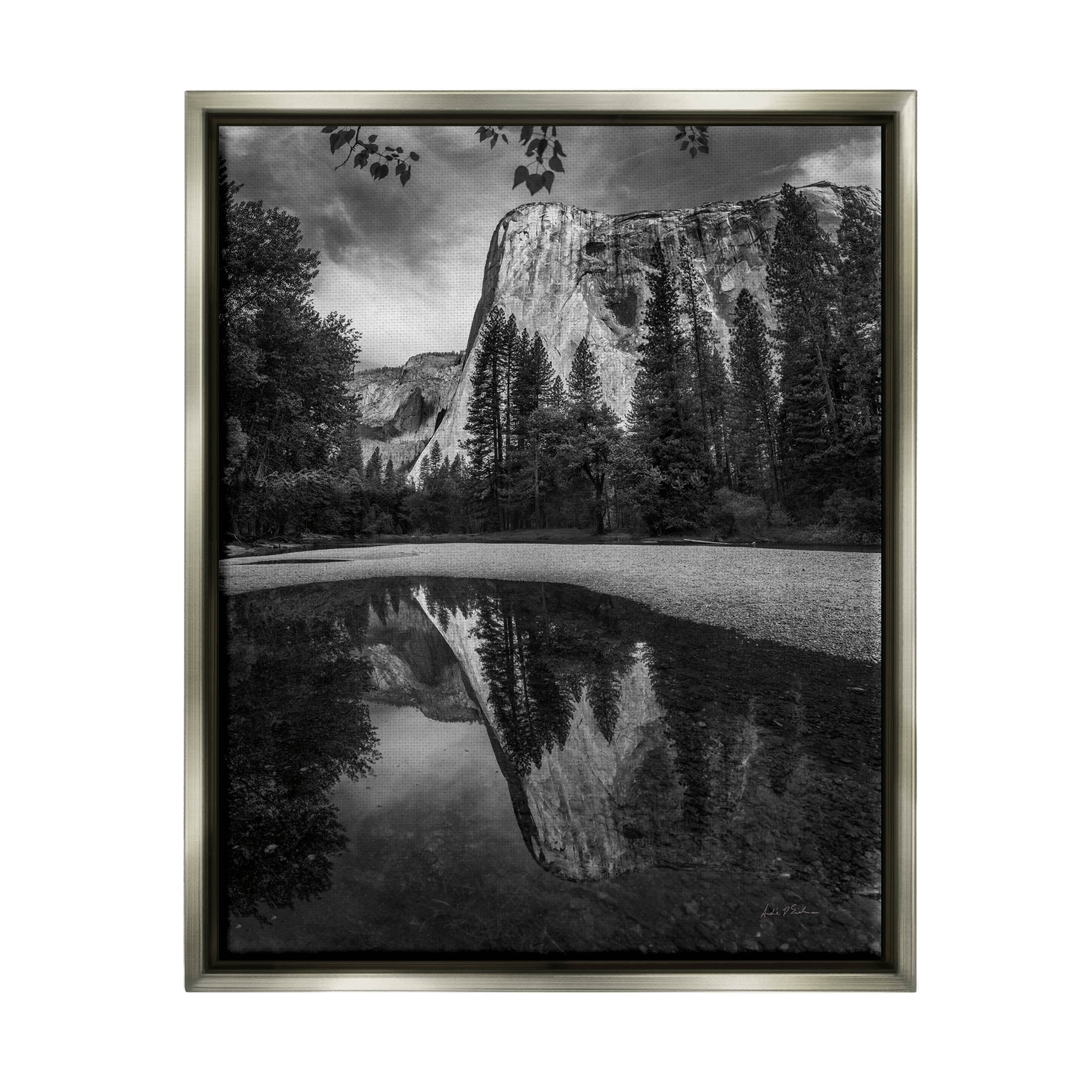Stupell Industries Yosemite Wildlife Nature Reflection Photograph Luster Gray Floating Framed Canvas Print Wall Art, Design by Andre Eichman