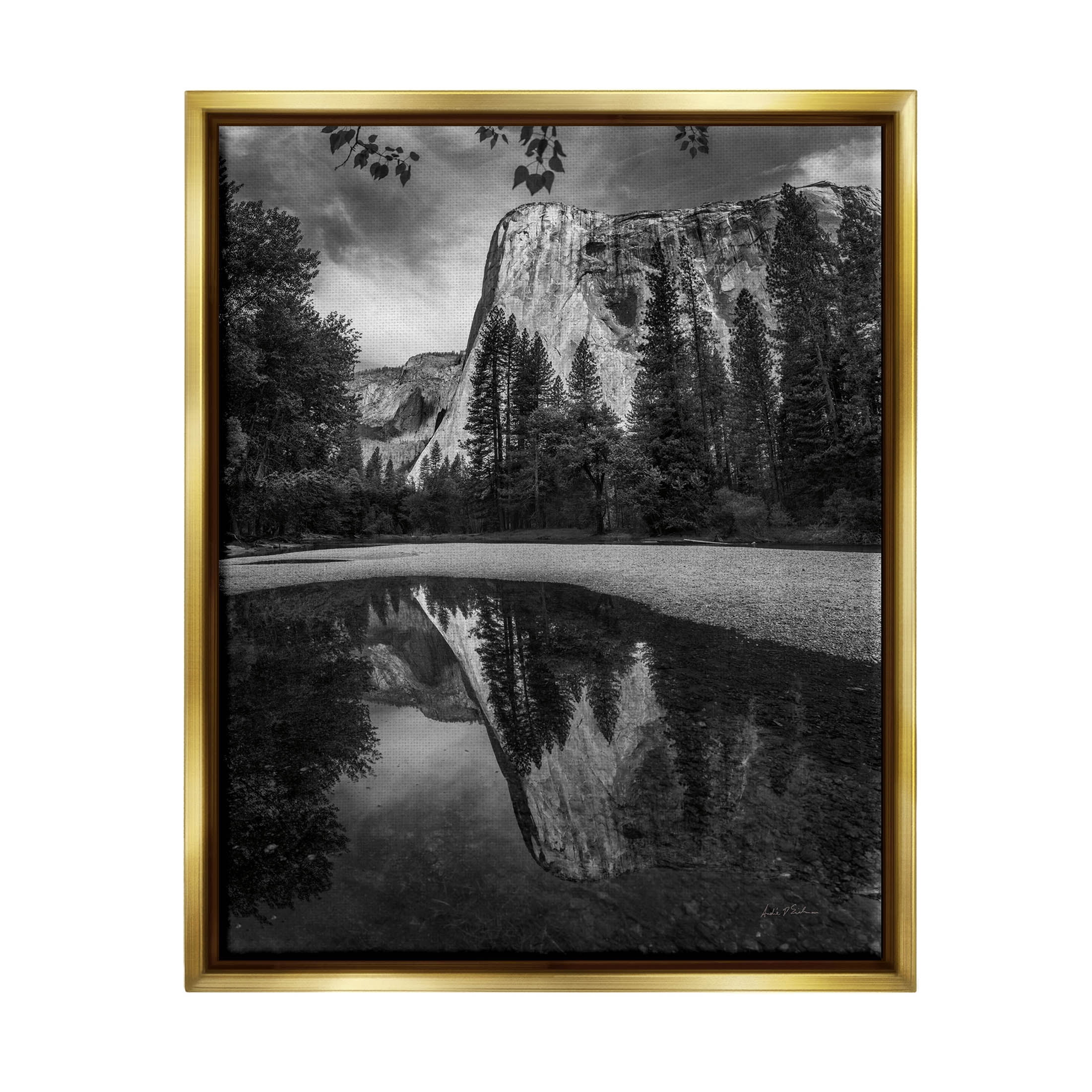 Stupell Industries Yosemite Wildlife Nature Reflection Photograph Metallic Gold Floating Framed Canvas Print Wall Art, Design by Andre Eichman