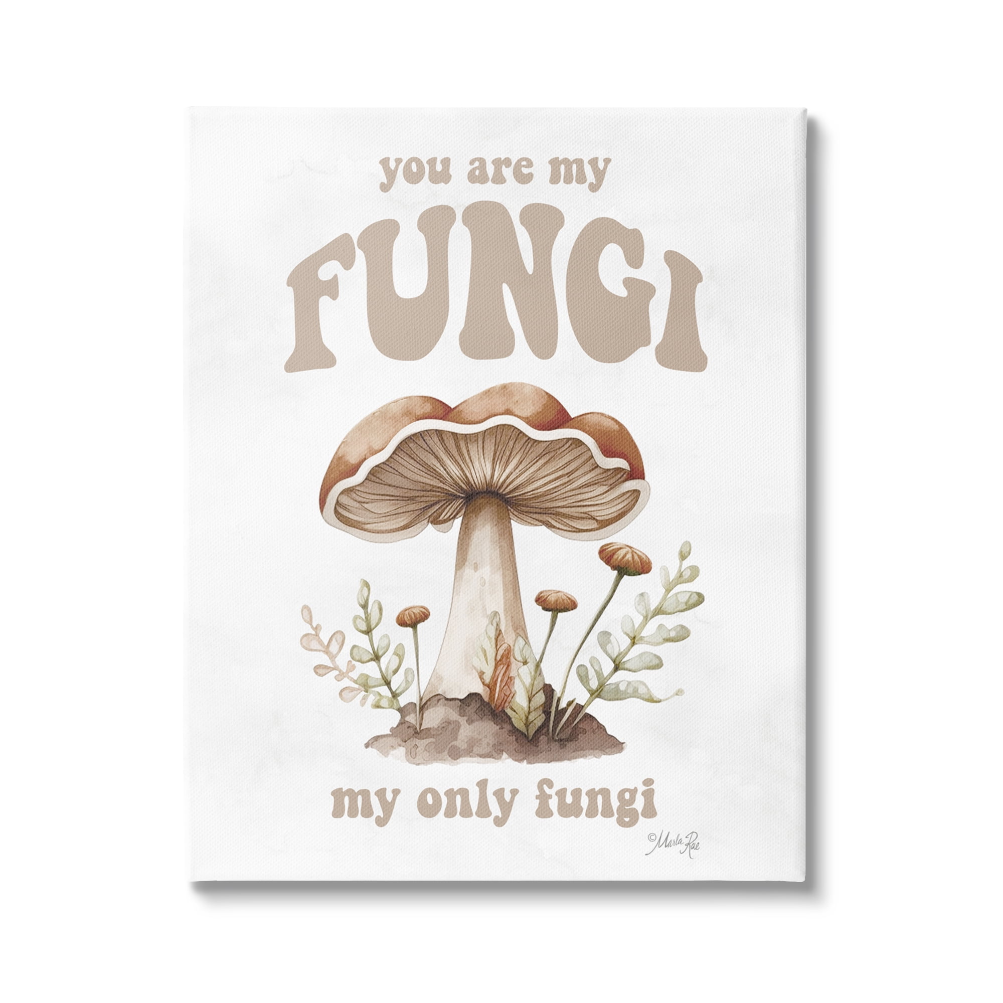 Stupell Industries You Are My Fungi Phrase Botanical & Floral Painting Gallery Wrapped Canvas Print Wall Art, 30 x 40