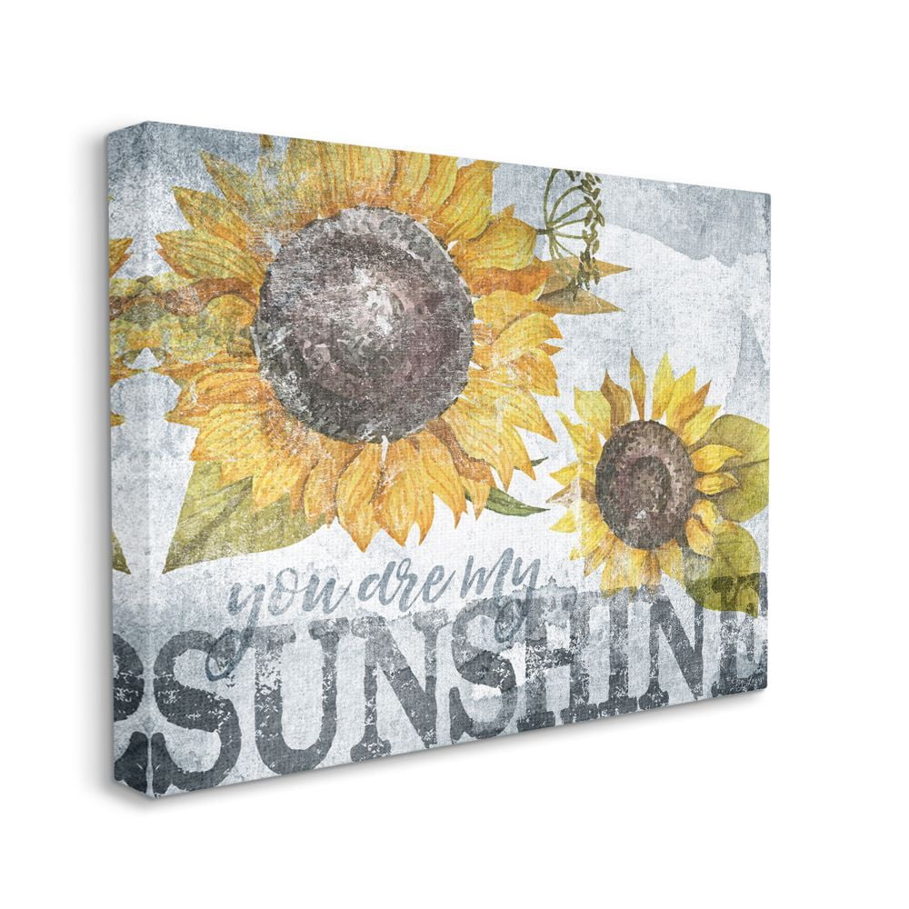 Stupell Industries You Are My Sunshine Quote Distressed Sunflower Design Designed by Gigi Louise