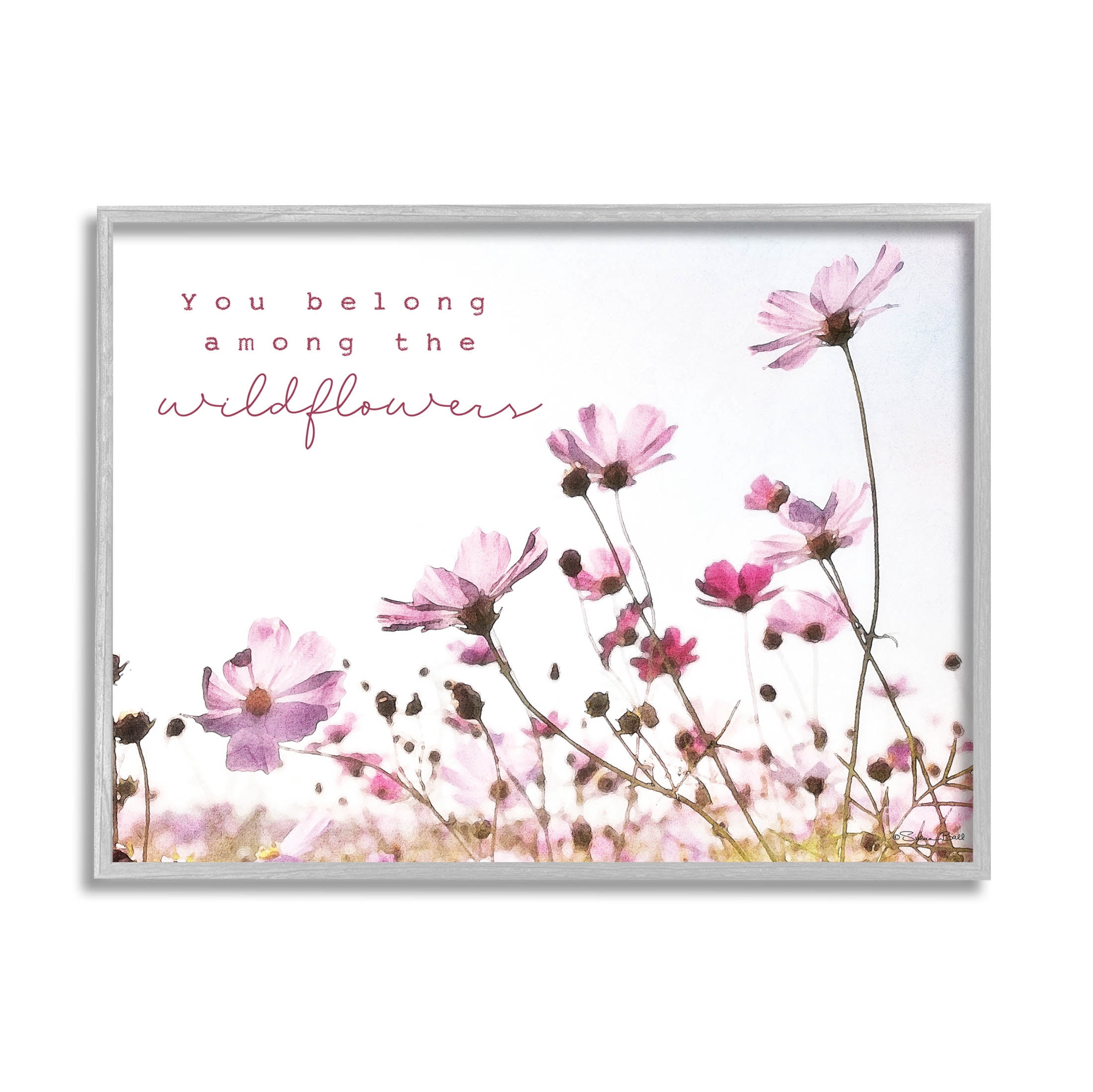 Stupell Industries You Belong Among Wildflowers Phrase Graphic Art Gray Framed Art Print Wall Art, Design by Susan Ball