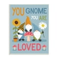 thumbnail image 1 of Stupell Industries You Gnome You are Loved Phrase Garden Elf Pun, 13 x 19, Designed by Lisa Whitebutton, 1 of 6