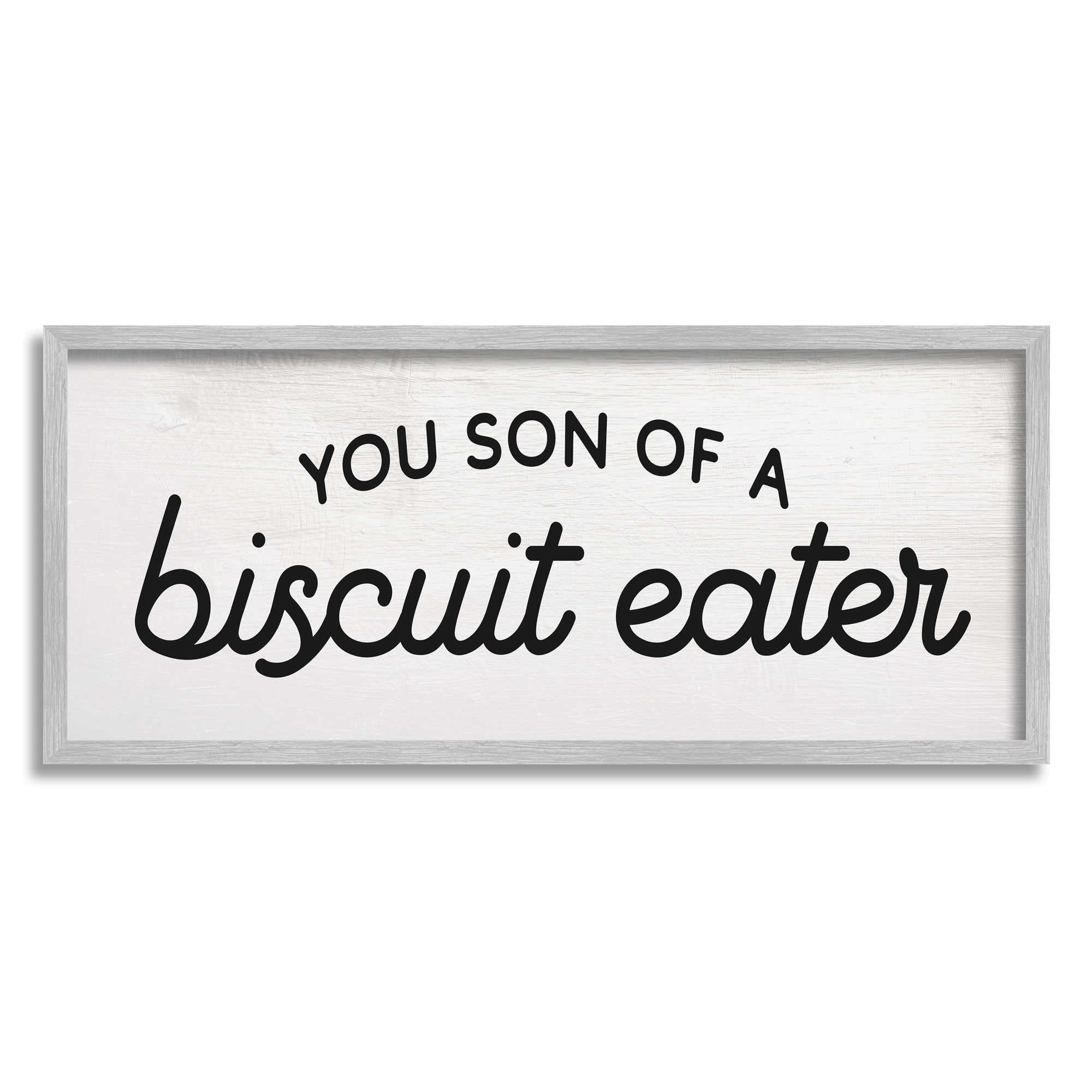 Stupell Industries You Son of a Biscuit Eater Funny Slang Typography Painting Gray Framed Art Print Wall Art, 10 x 24