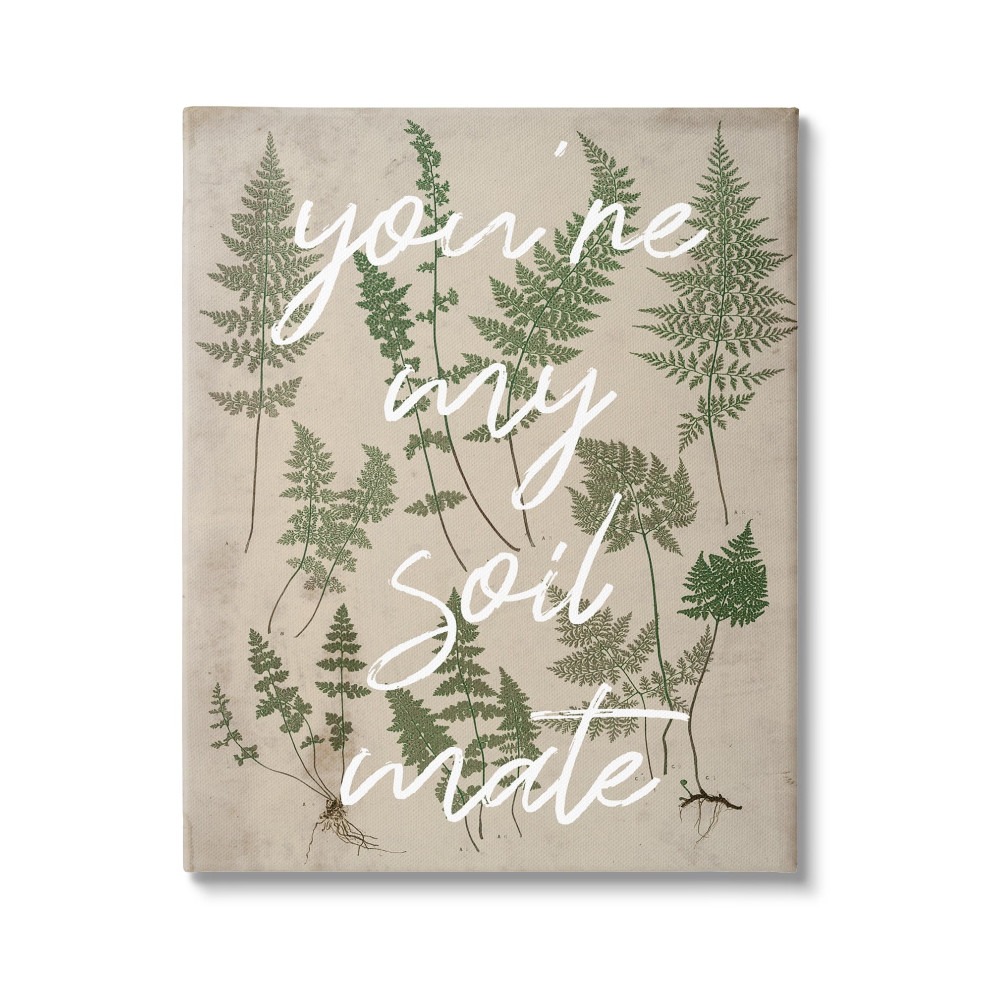 Stupell Industries You're My Soil Mate Rustic Fern Motif Calligraphy Canvas Wall Art, 24 x 30, Design by Lil' Rue