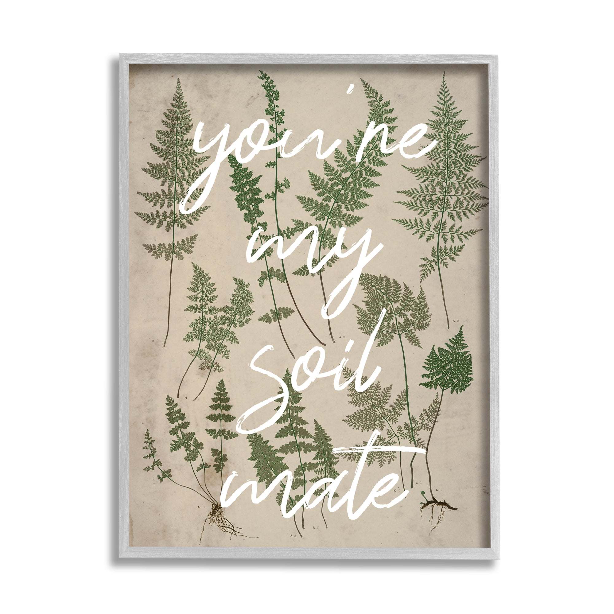 Stupell Industries You're My Soil Mate Rustic Fern Motif Calligraphy Framed Wall Art, 11 x 14, Design by Lil' Rue