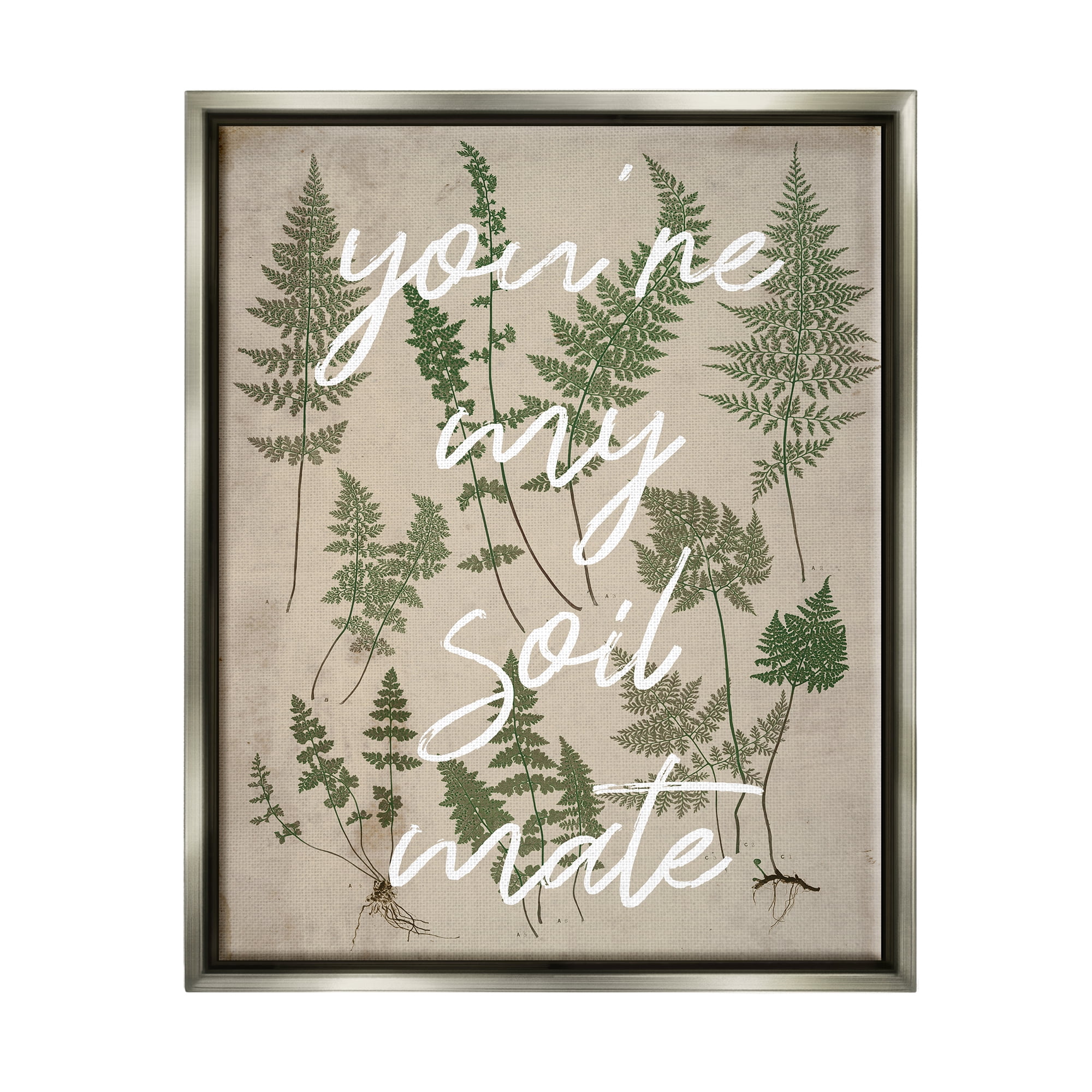 Stupell Industries You're My Soil Mate Rustic Fern Motif Calligraphy Luster Gray Framed Floating Canvas Wall Art, 24x30, by Lil' Rue