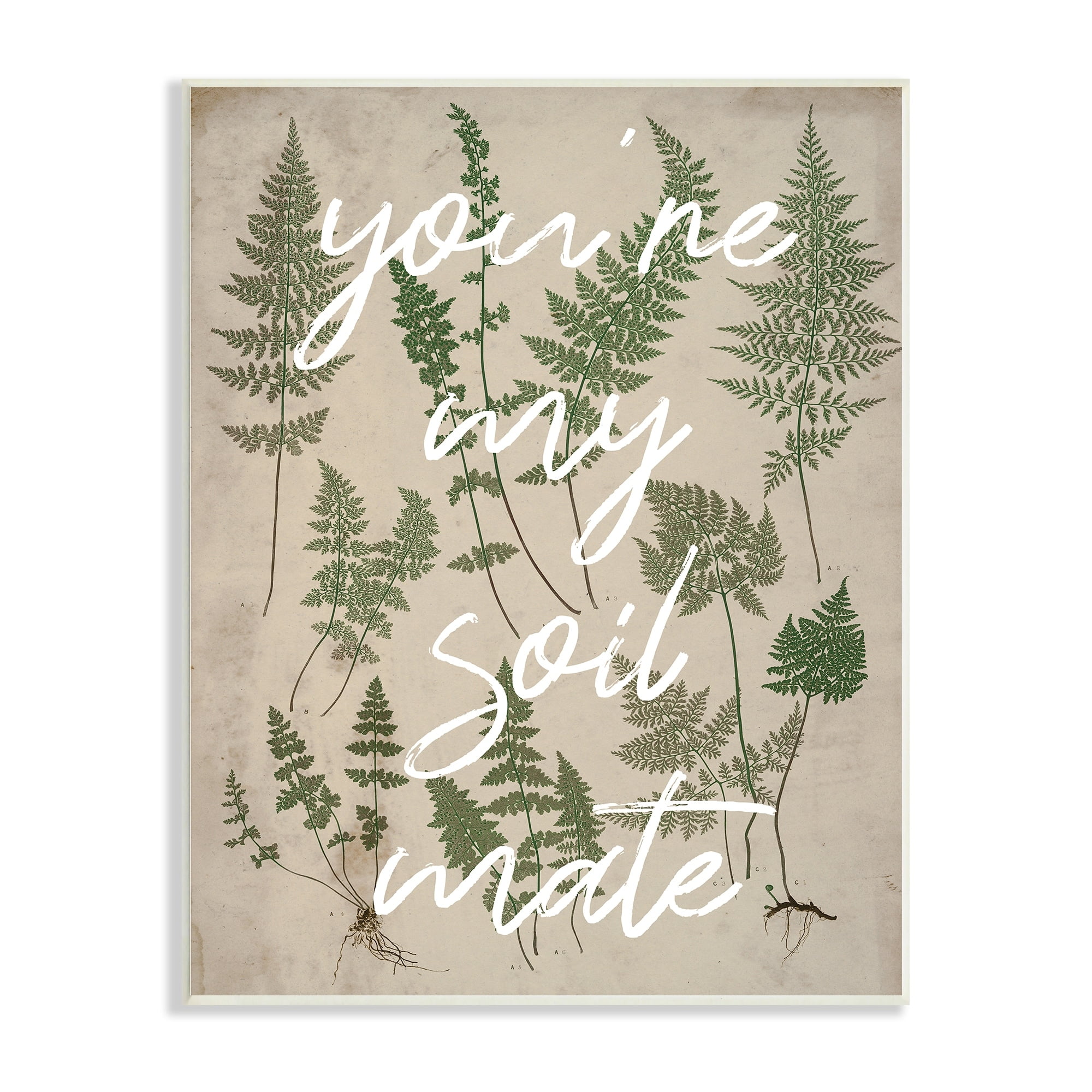 Stupell Industries You're My Soil Mate Rustic Fern Motif Calligraphy Wood Wall Art, 13 x 19, Design by Lil' Rue
