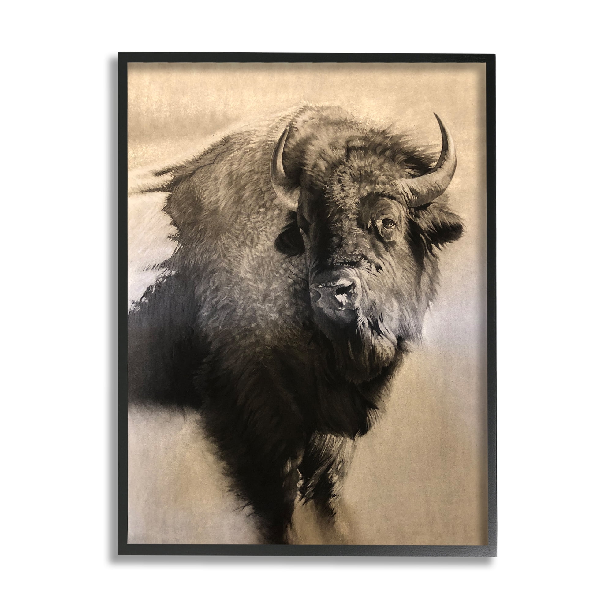 Stupell Industries Young Bull Vintage Portrait Realistic Rustic Animals & Insects Drawing Black Framed Art Print Wall Art, 16 x 20