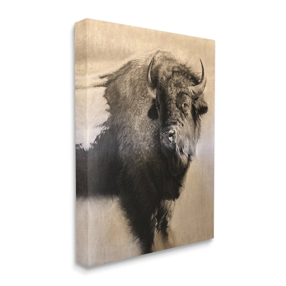 Stupell Industries Young Bull Vintage Portrait Realistic Rustic Animals & Insects Drawing Gallery Wrapped Canvas Print Wall Art, 16 x 20