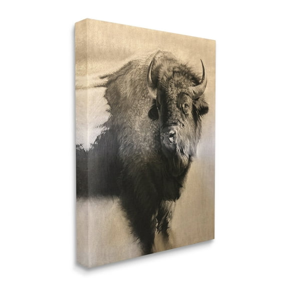 Stupell Industries Young Bull Vintage Portrait Realistic Rustic Animals & Insects Drawing Gallery Wrapped Canvas Print Wall Art, 36 x 48