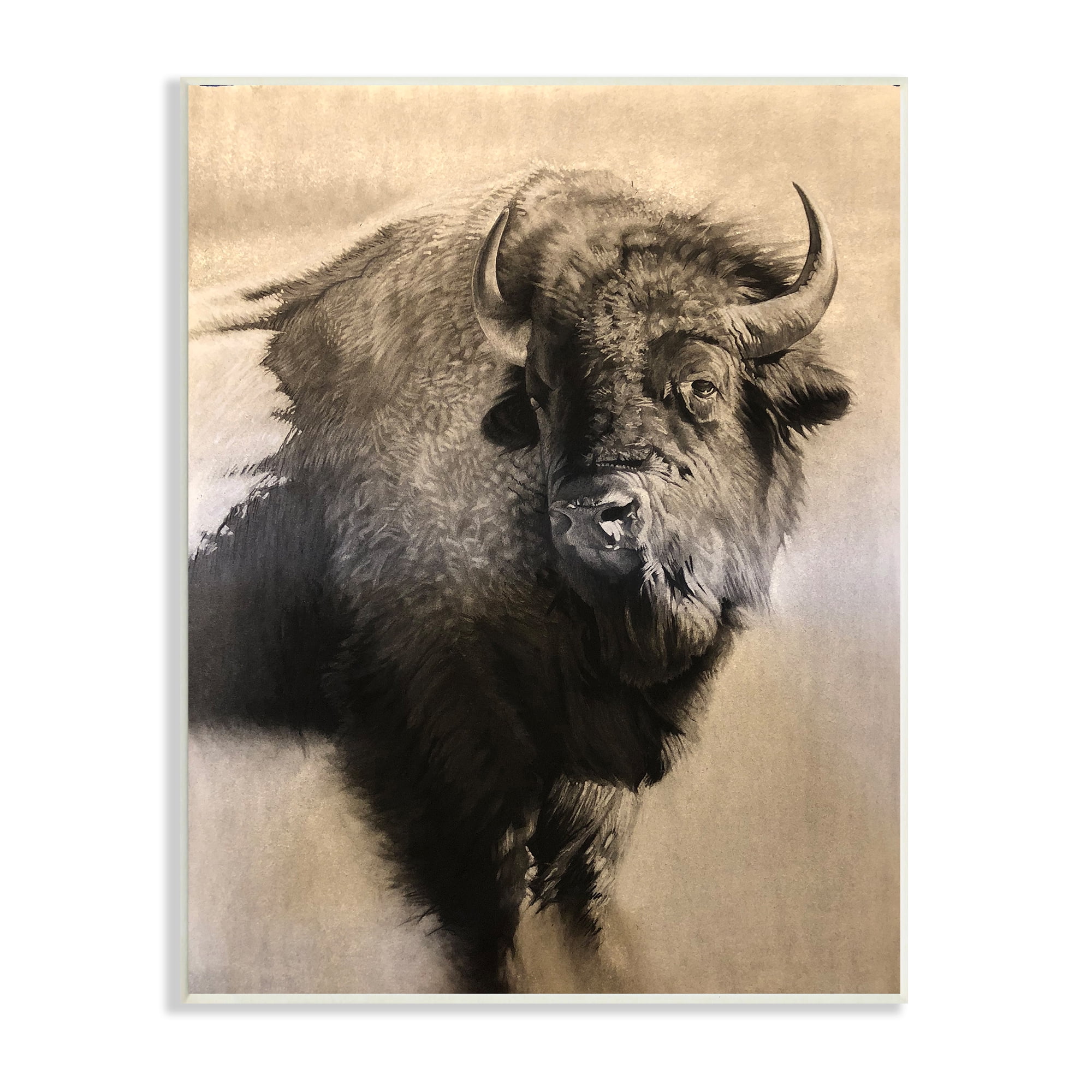 Stupell Industries Young Bull Vintage Portrait Realistic Rustic Animals & Insects Drawing Unframed Art Print Wall Art, 13 x 19