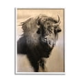 thumbnail image 1 of Stupell Industries Young Bull Vintage Portrait Realistic Rustic Animals & Insects Drawing White Framed Art Print Wall Art, 16 x 20, 1 of 7