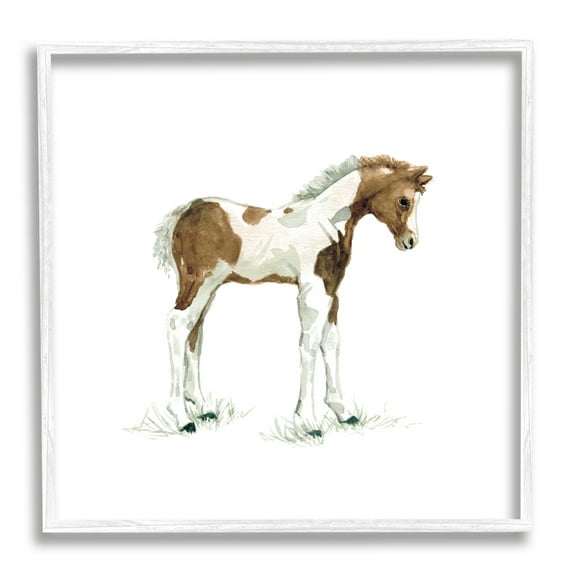 Stupell Industries Young Farm Horse Minimal Country Animal over White, 12 x 12, Design by Carol Robinson