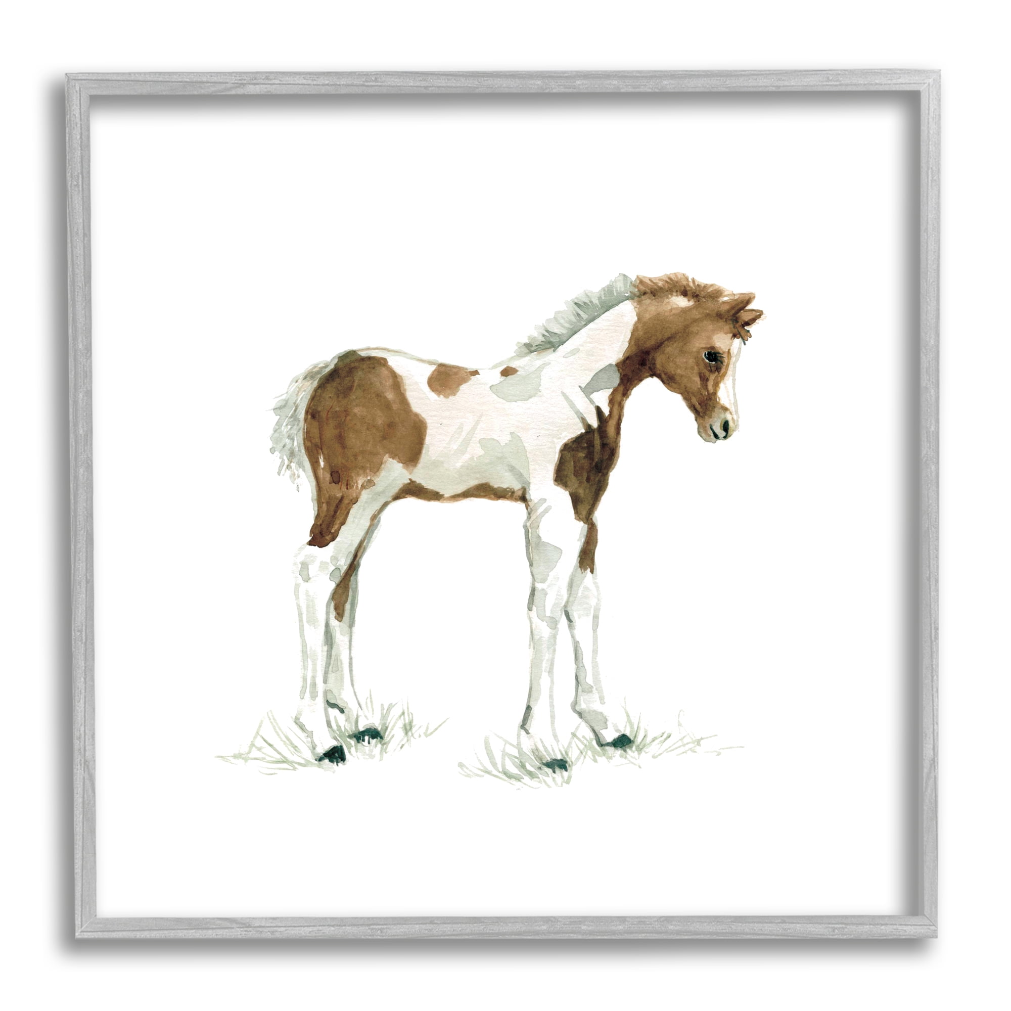 Stupell Industries Young Farm Horse Minimal Country Animal over White, 24 x 24, Design by Carol Robinson