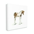 thumbnail image 1 of Stupell Industries Young Farm Horse Minimal Country Animal over White Animals & Insects Painting Gallery Wrapped Canvas Print Wall Art, 36 x 36, 1 of 6