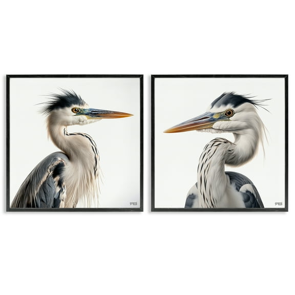 Stupell Industries Young Heron Birds Animals Painting Black Framed Art Print Wall Art, 12 x 12, Set of 2