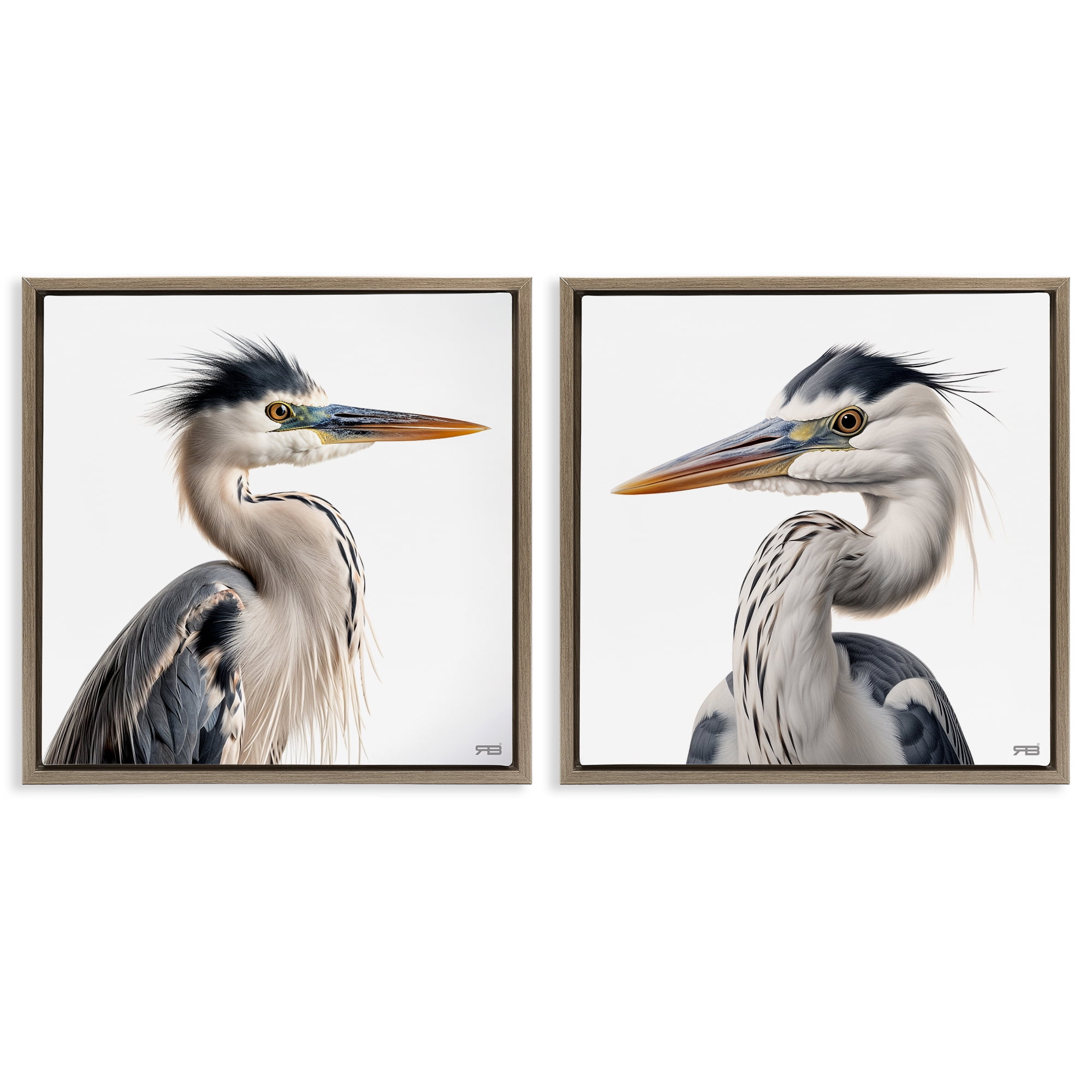 Stupell Industries Young Heron Birds Animals Painting Brown Floater Framed Canvas Art Print Wall Art, 18 x 18, Set of 2