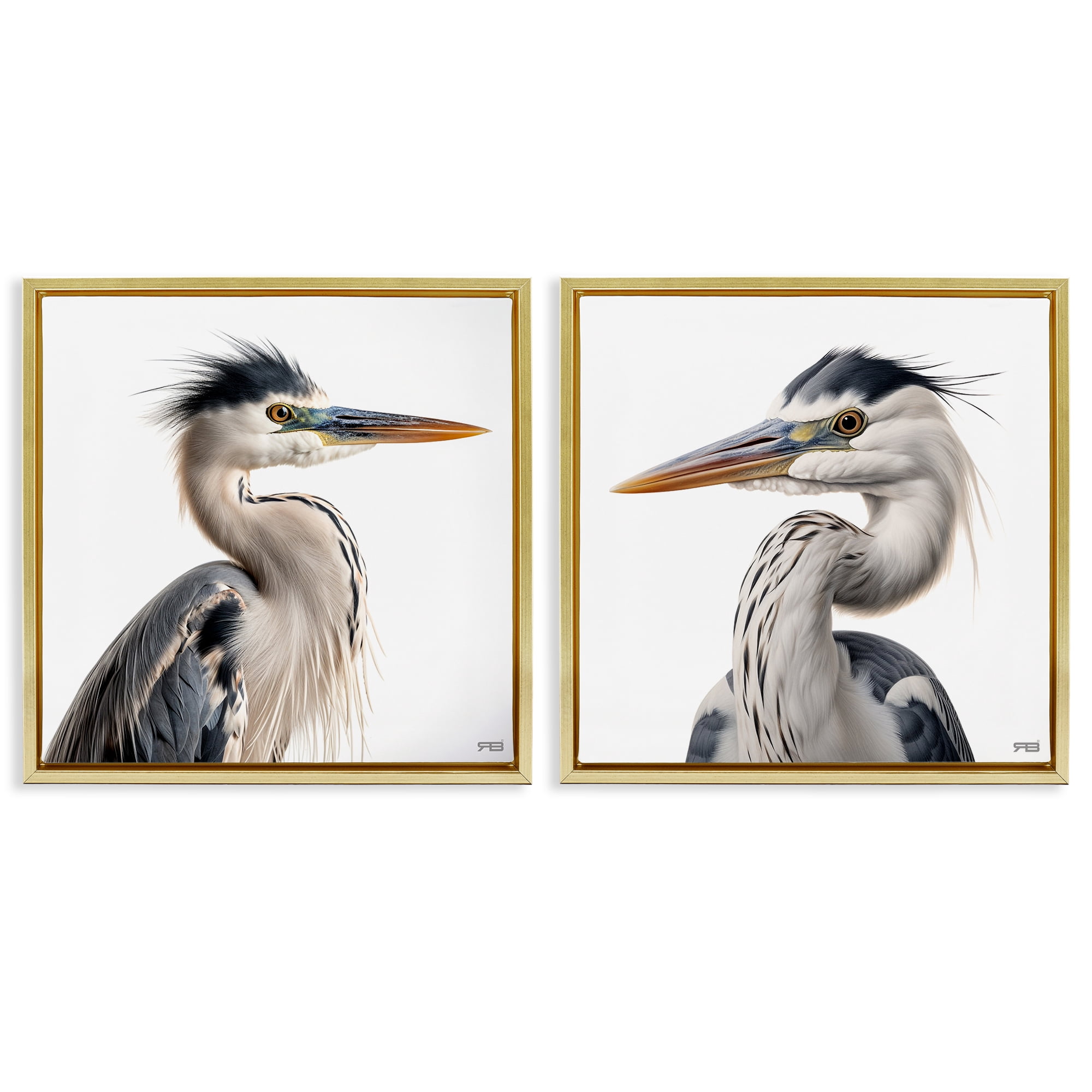 Stupell Industries Young Heron Birds Animals Painting Gold Floater Framed Canvas Art Print Wall Art, 18 x 18, Set of 2
